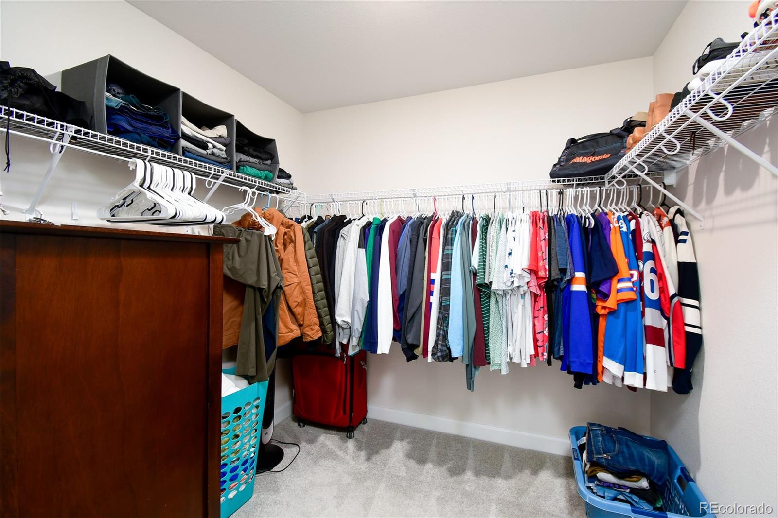 MLS Image #28 for 5094  ditmars lane,castle rock, Colorado