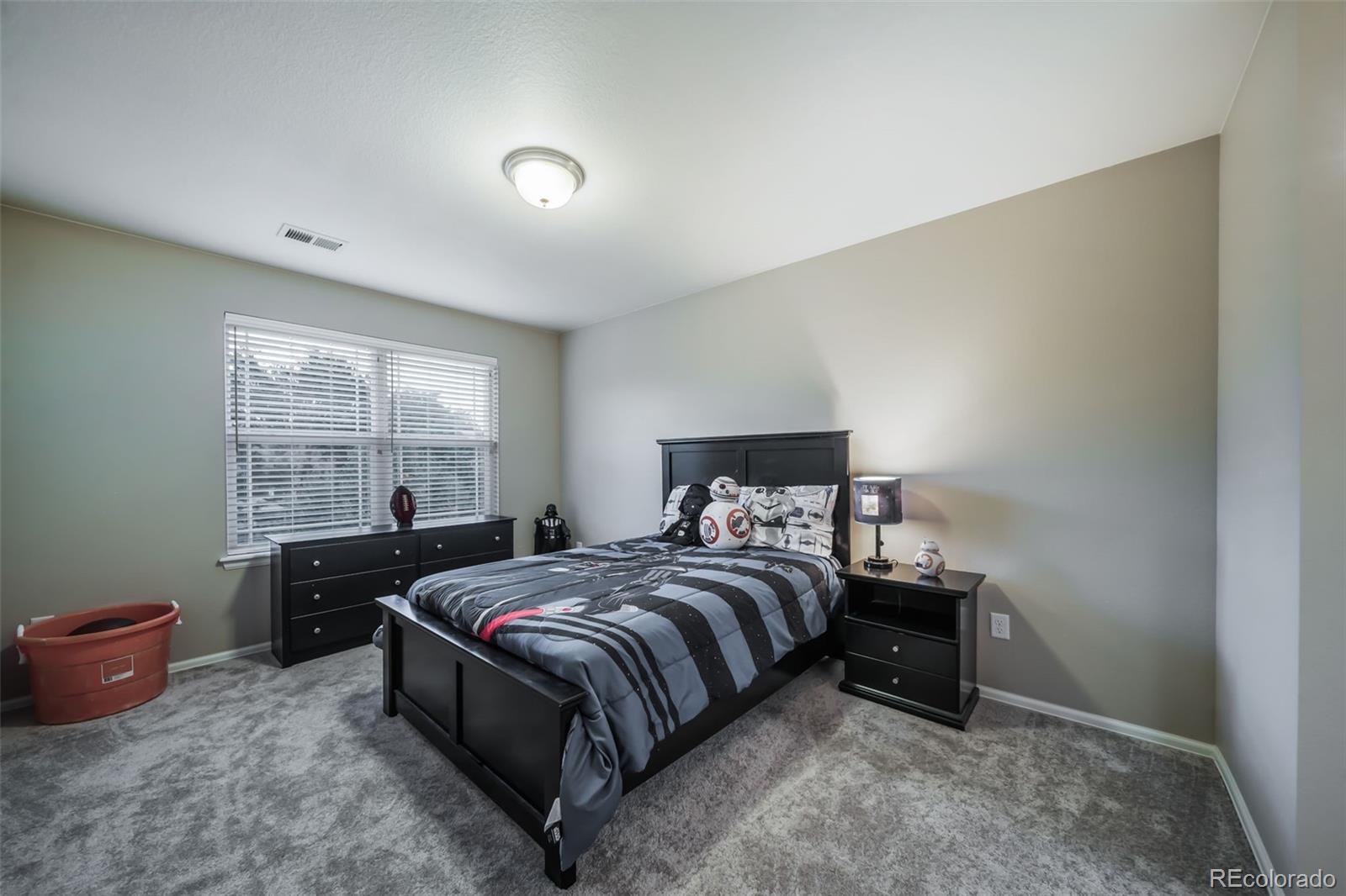 MLS Image #29 for 12963  norway maple street,parker, Colorado