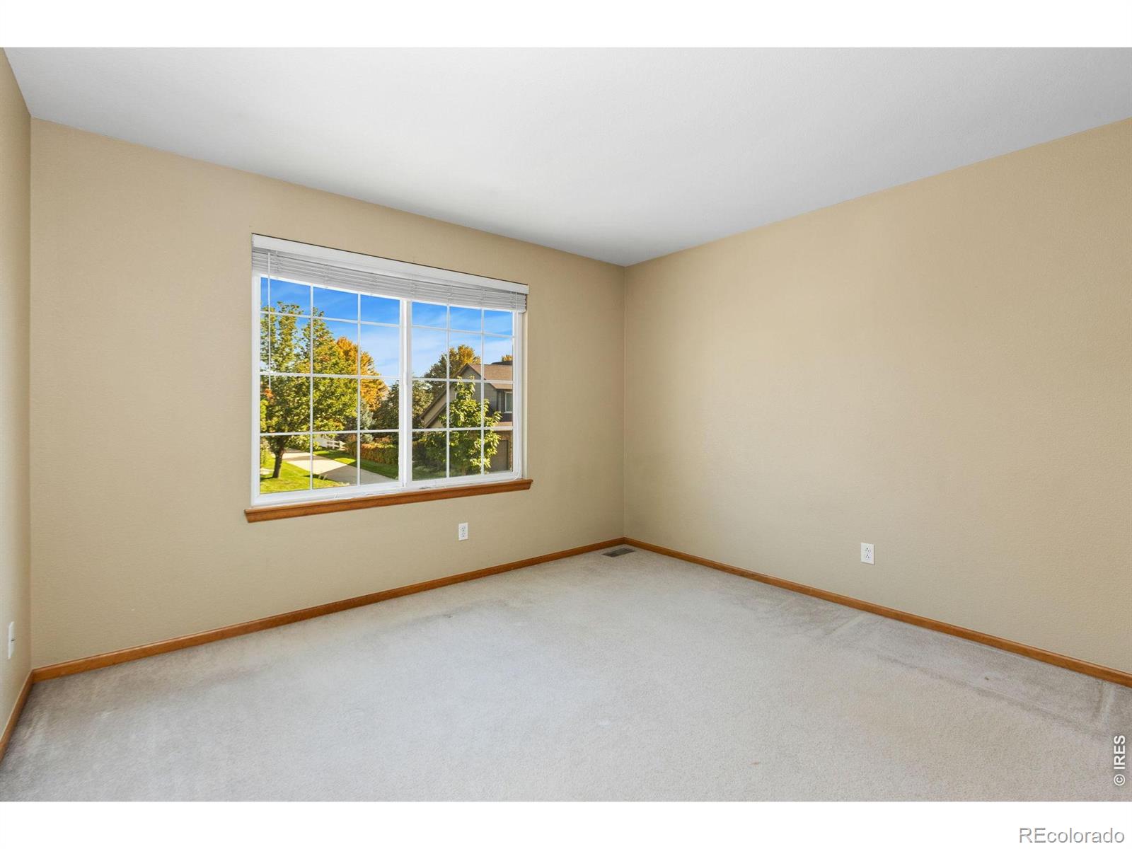 MLS Image #20 for 123  rock bridge court,windsor, Colorado
