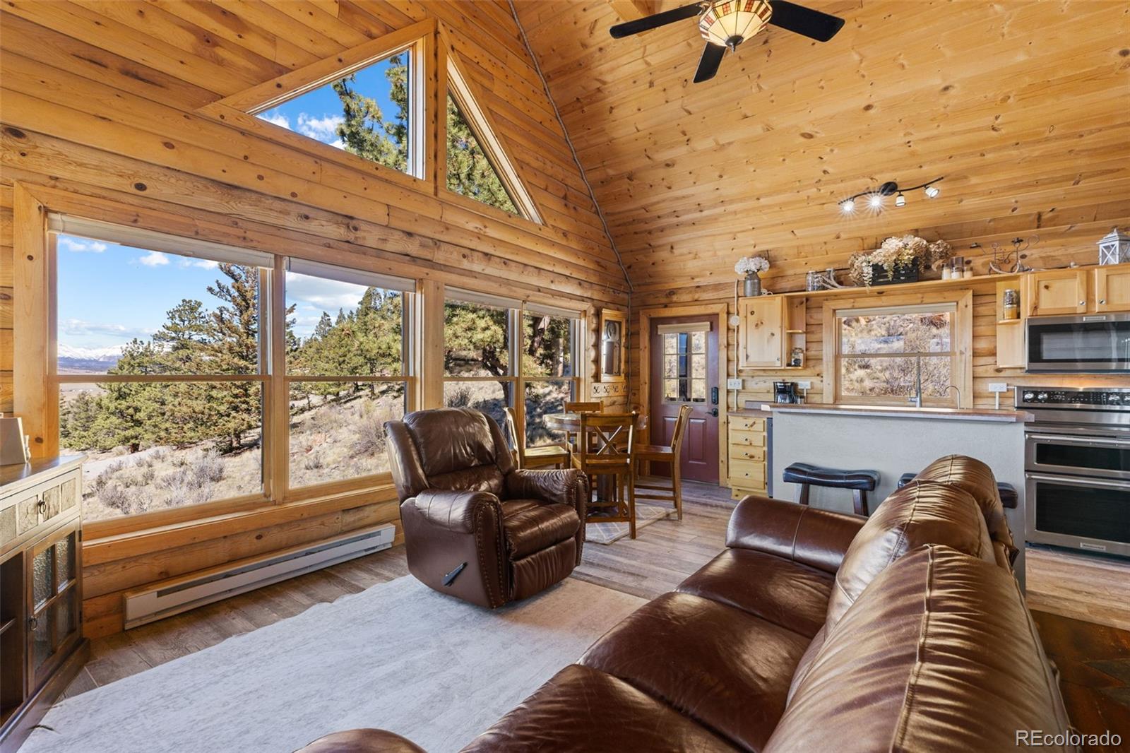 MLS Image #10 for 1995  bonell drive,fairplay, Colorado