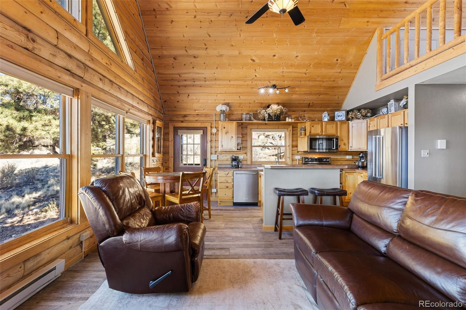 MLS Image #11 for 1995  bonell drive,fairplay, Colorado