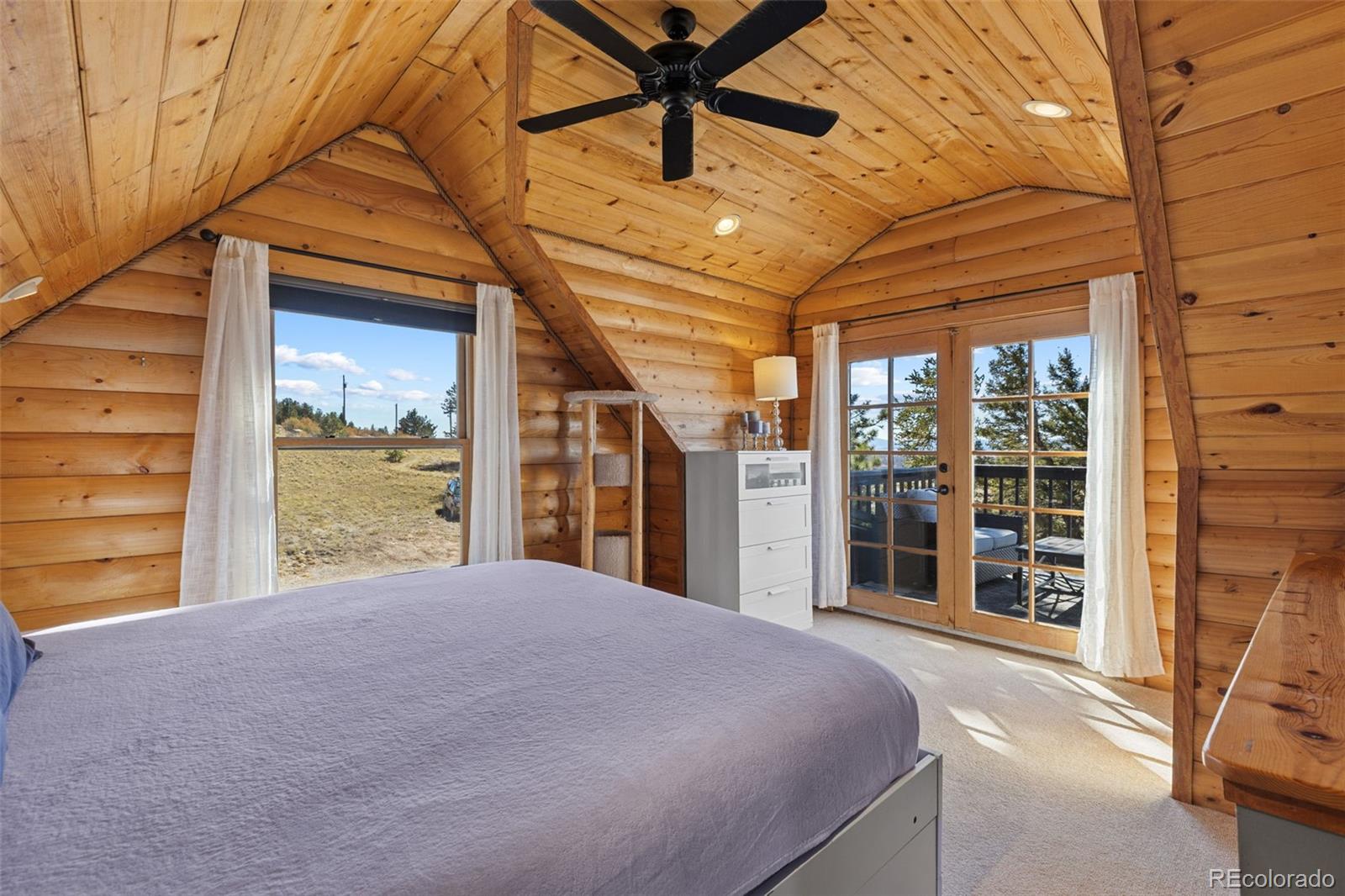 MLS Image #25 for 1995  bonell drive,fairplay, Colorado