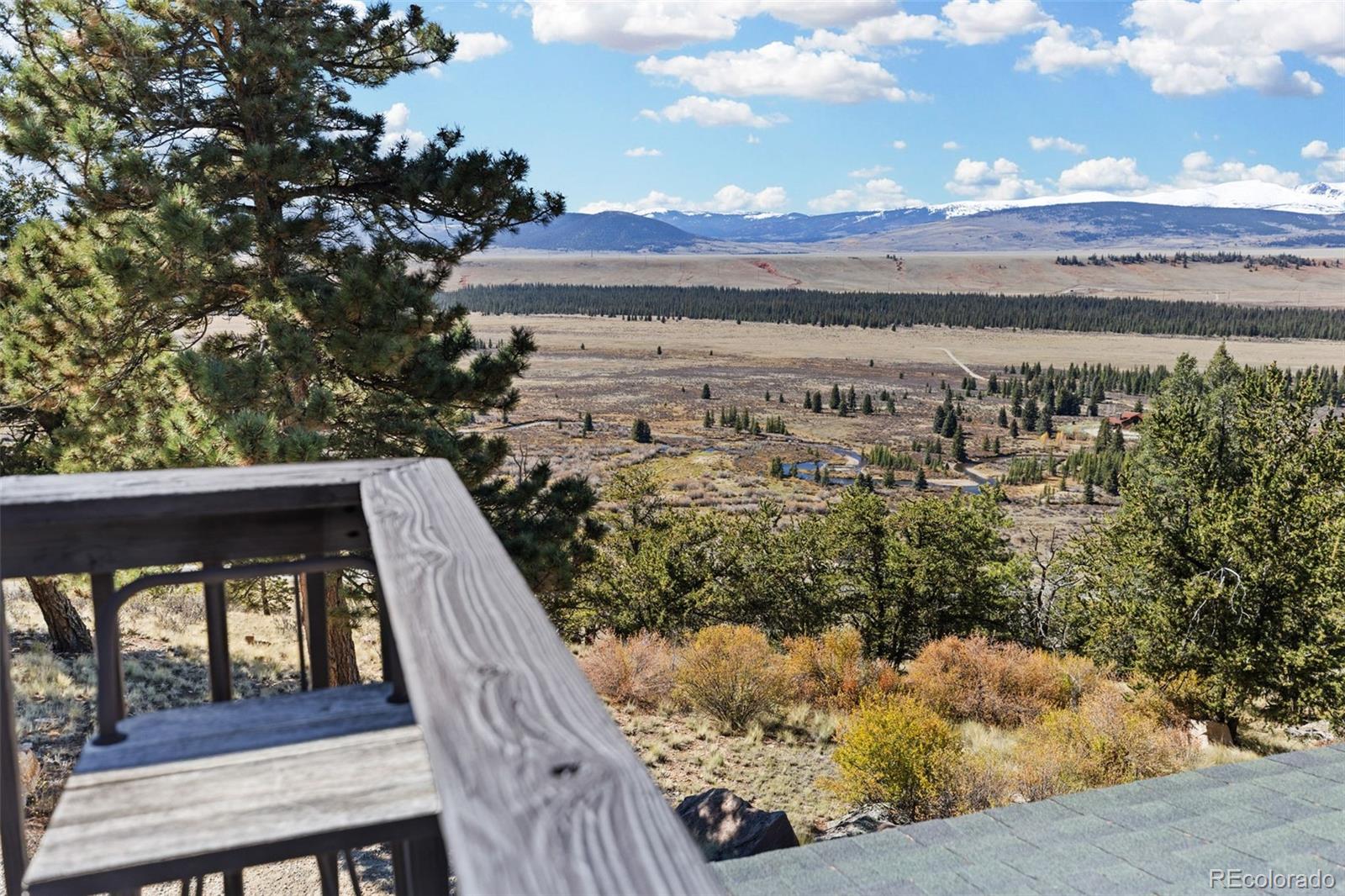 MLS Image #30 for 1995  bonell drive,fairplay, Colorado
