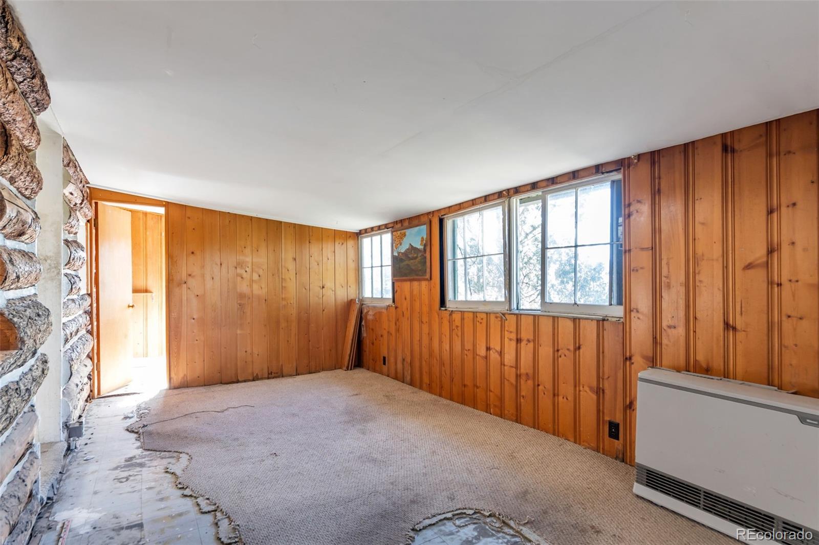 MLS Image #8 for 34317  mineral lane,pine, Colorado