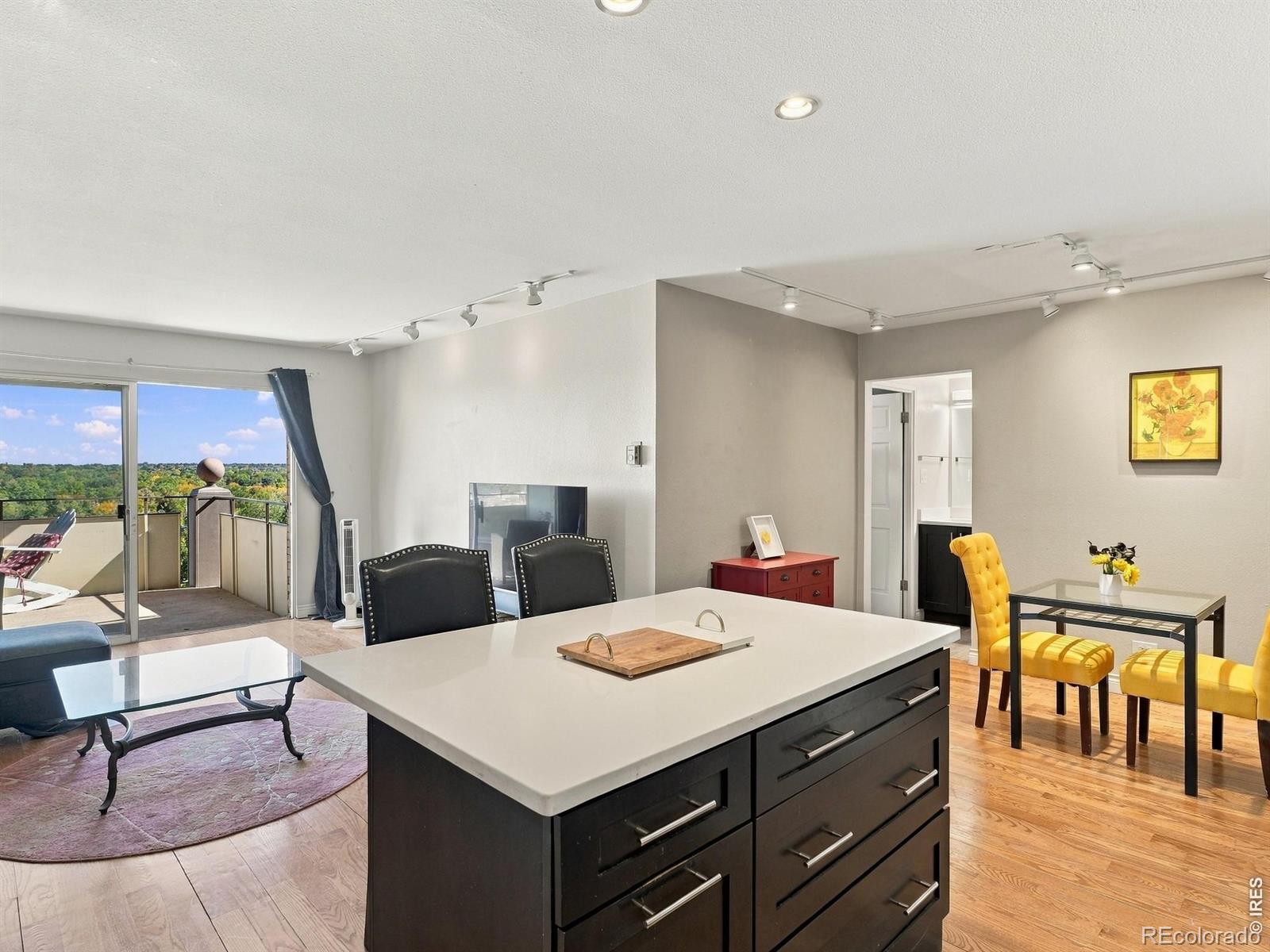 MLS Image #8 for 700 n washington street,denver, Colorado