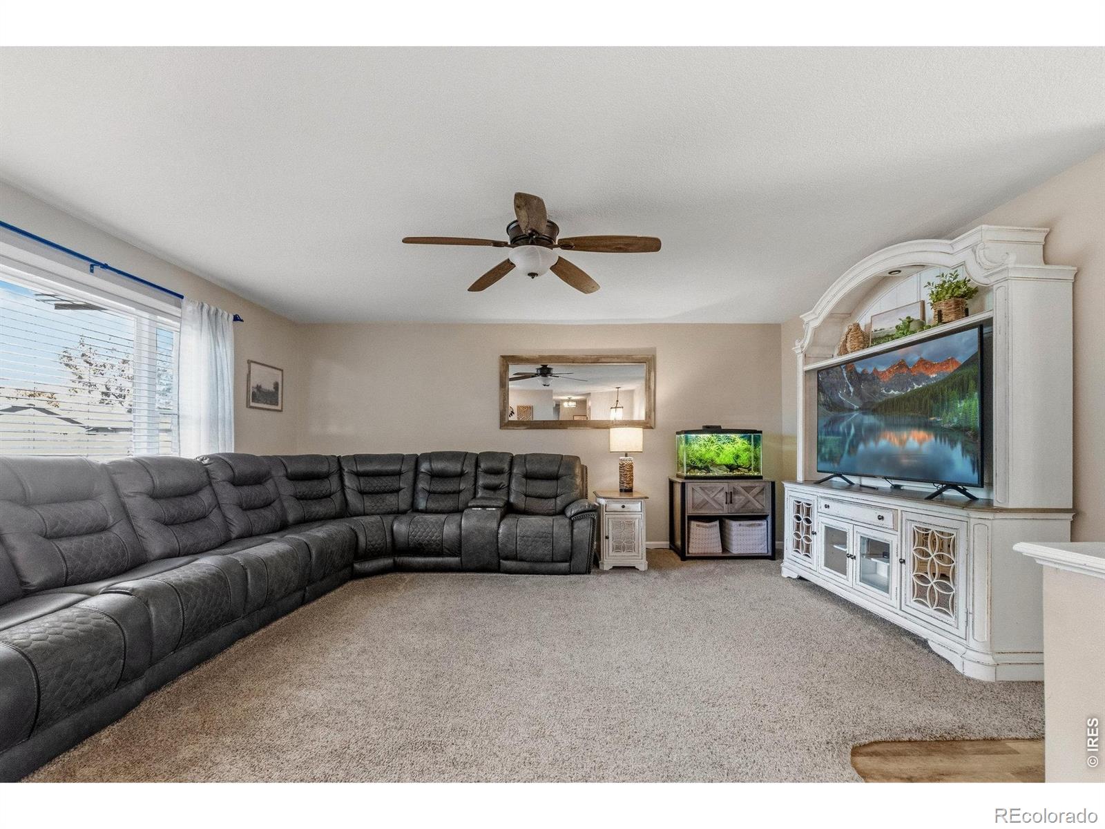 MLS Image #4 for 409  stanford street,brush, Colorado