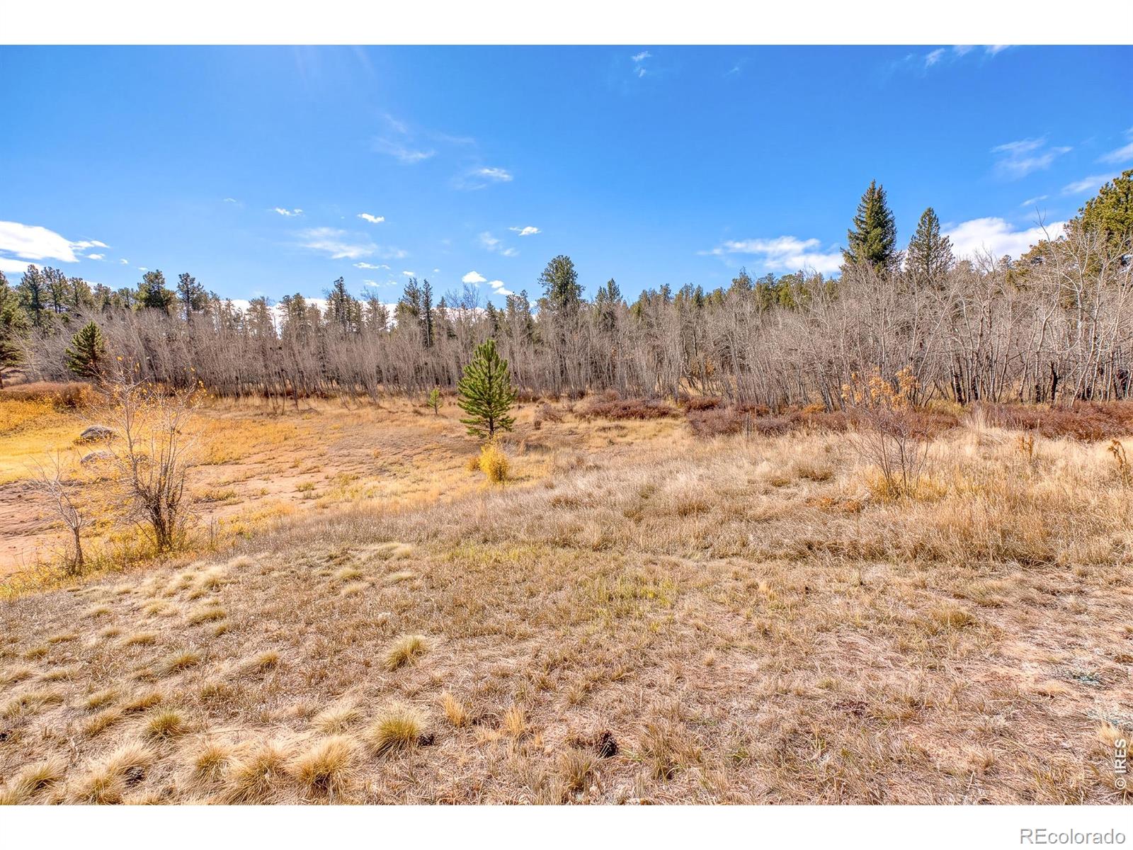 MLS Image #18 for 2225 n county road 73c ,red feather lakes, Colorado