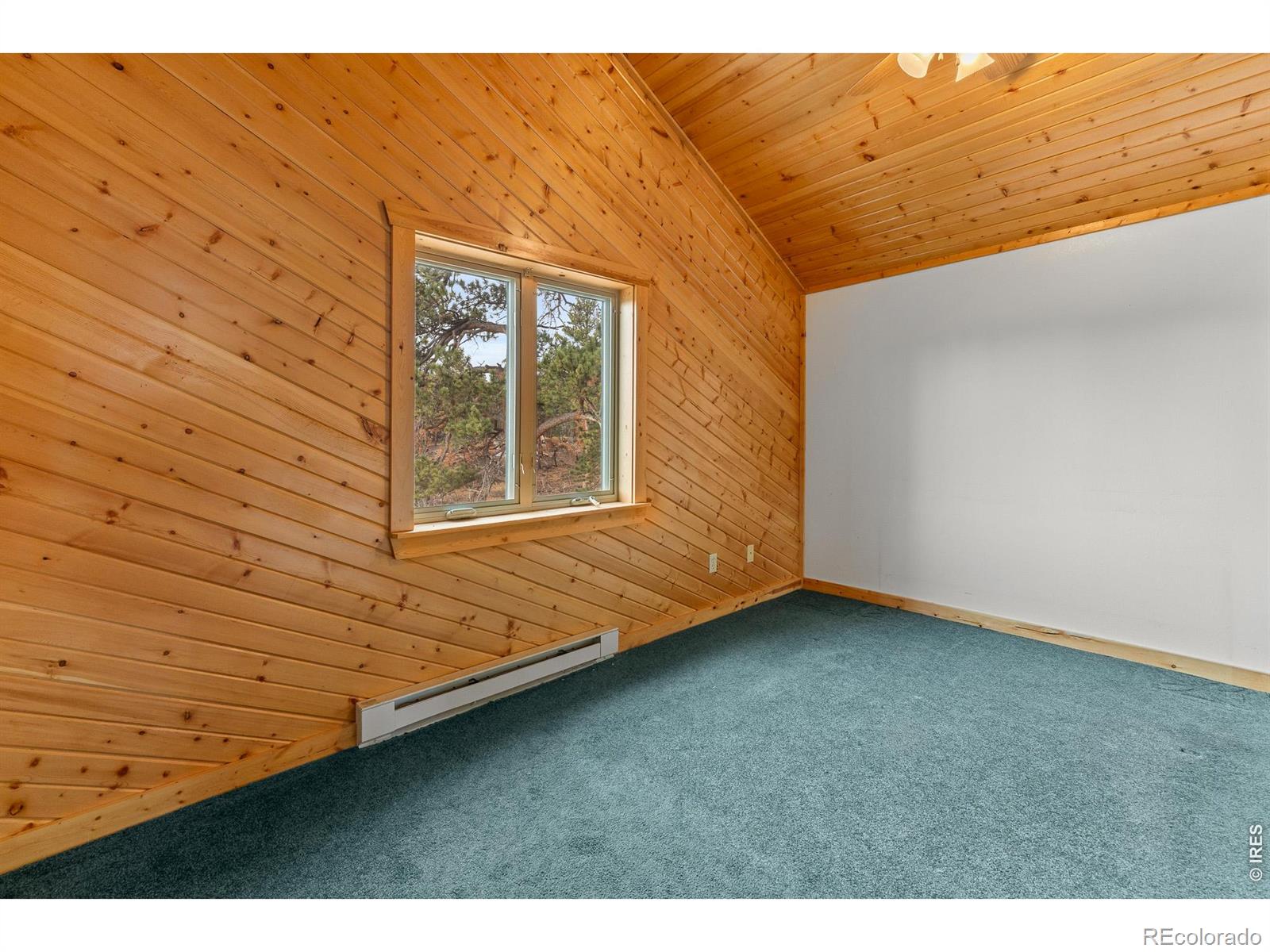 MLS Image #29 for 2225 n county road 73c ,red feather lakes, Colorado