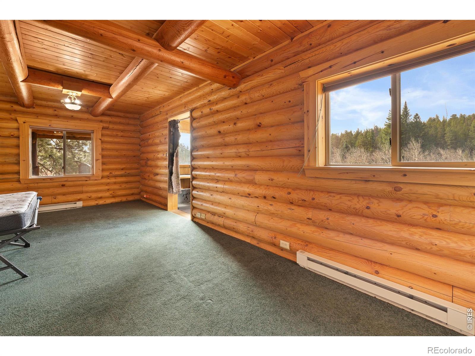MLS Image #32 for 2225 n county road 73c ,red feather lakes, Colorado
