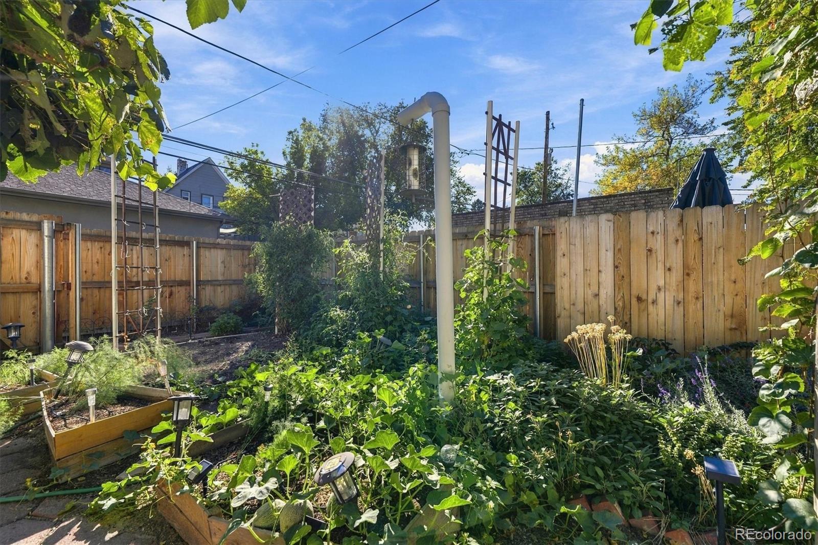 MLS Image #35 for 314 s clarkson street,denver, Colorado