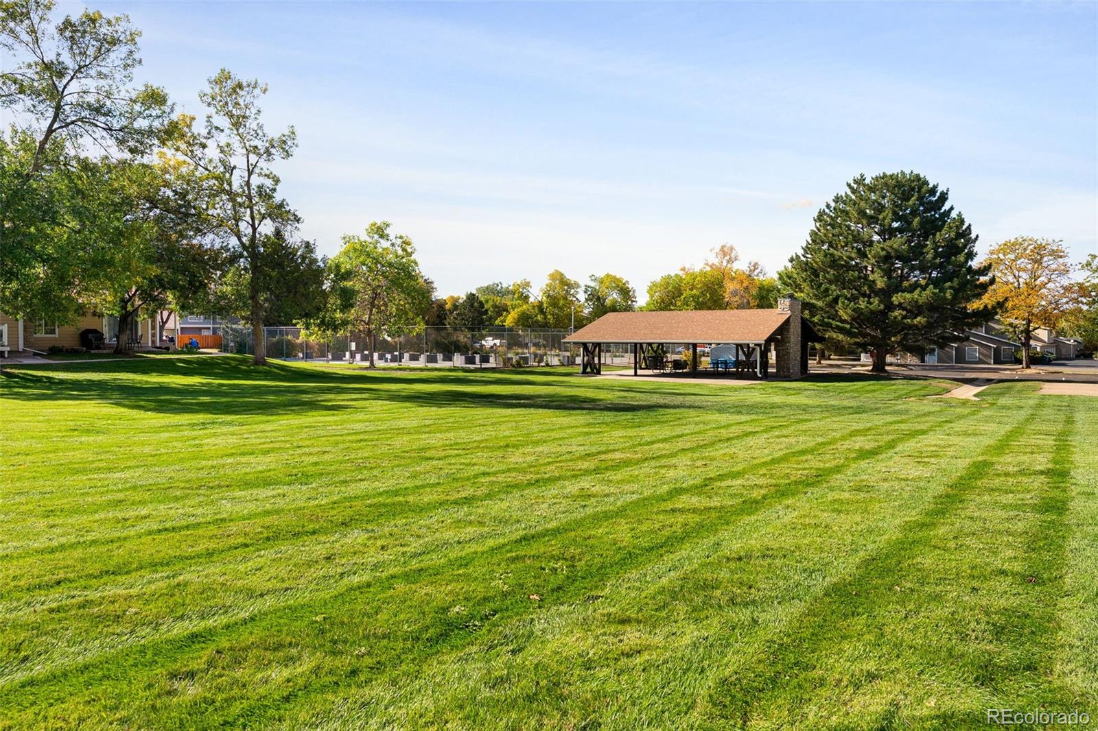 MLS Image #17 for 8433  everett way,arvada, Colorado