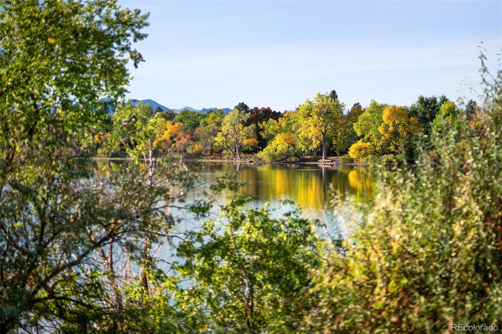 MLS Image #29 for 8433  everett way,arvada, Colorado