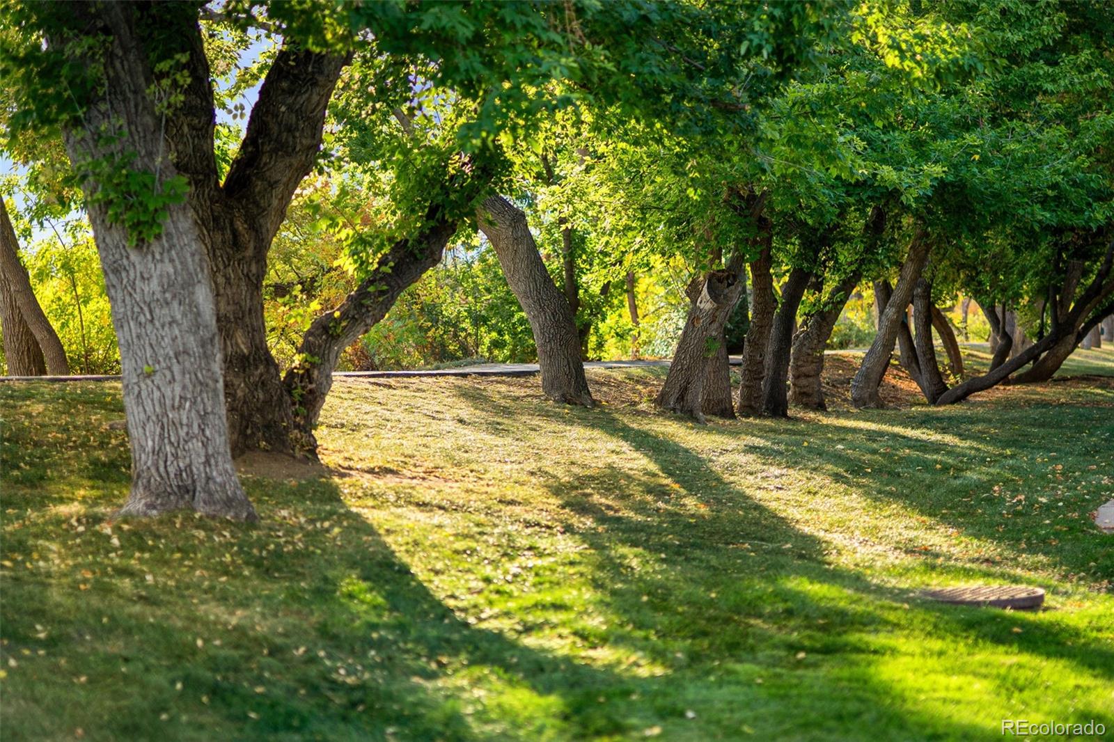 MLS Image #30 for 8433  everett way,arvada, Colorado