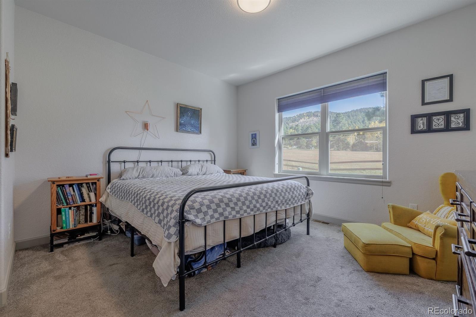 MLS Image #8 for 522  brecken court,woodland park, Colorado