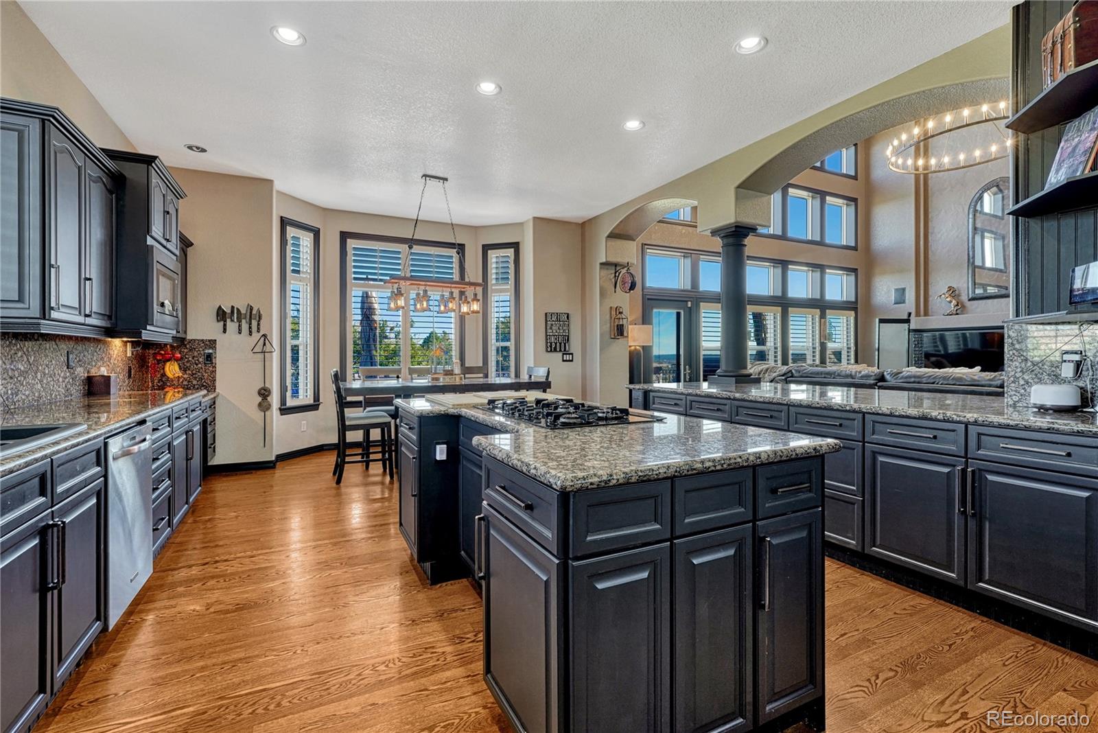 MLS Image #13 for 663  sapphire drive,castle rock, Colorado