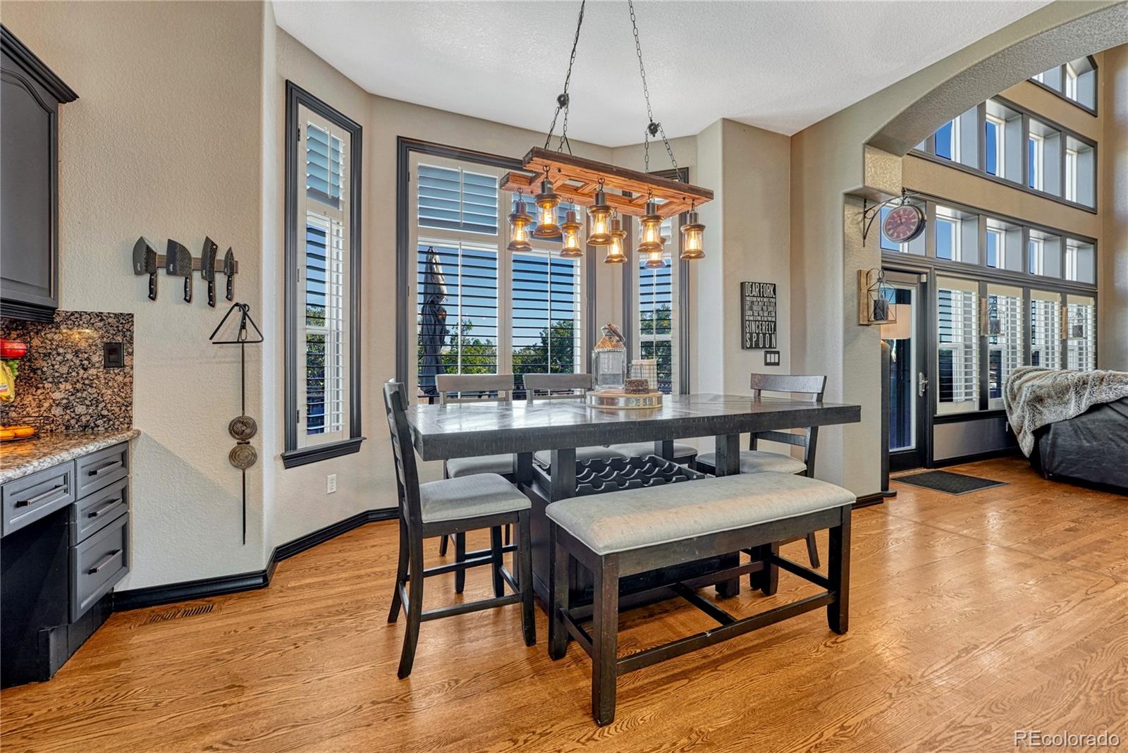 MLS Image #14 for 663  sapphire drive,castle rock, Colorado