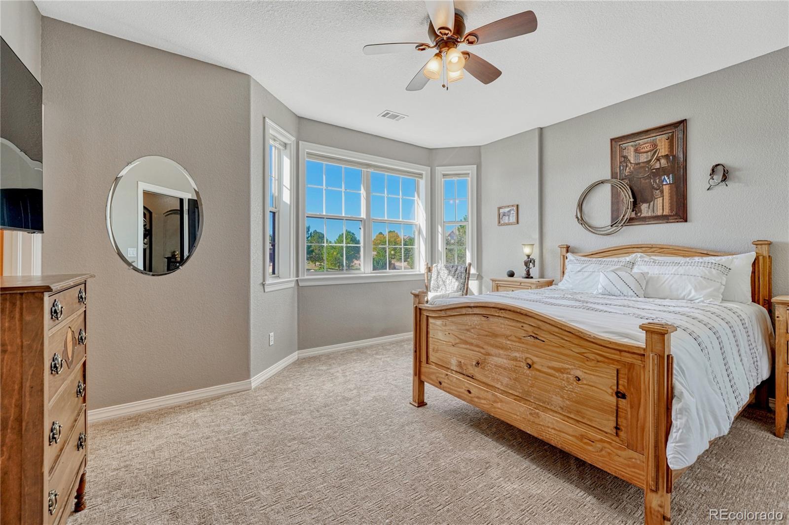 MLS Image #26 for 663  sapphire drive,castle rock, Colorado