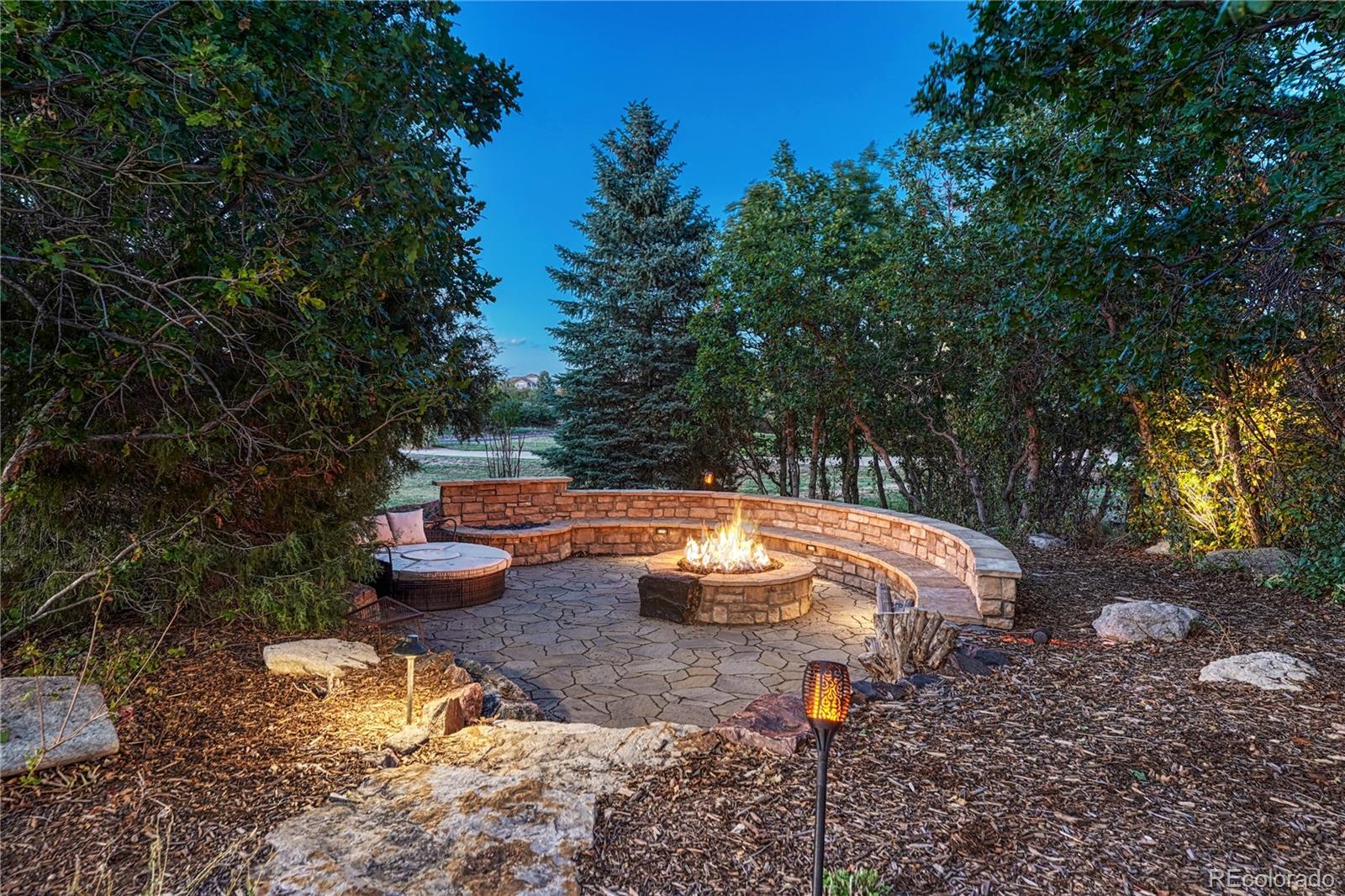 MLS Image #7 for 663  sapphire drive,castle rock, Colorado