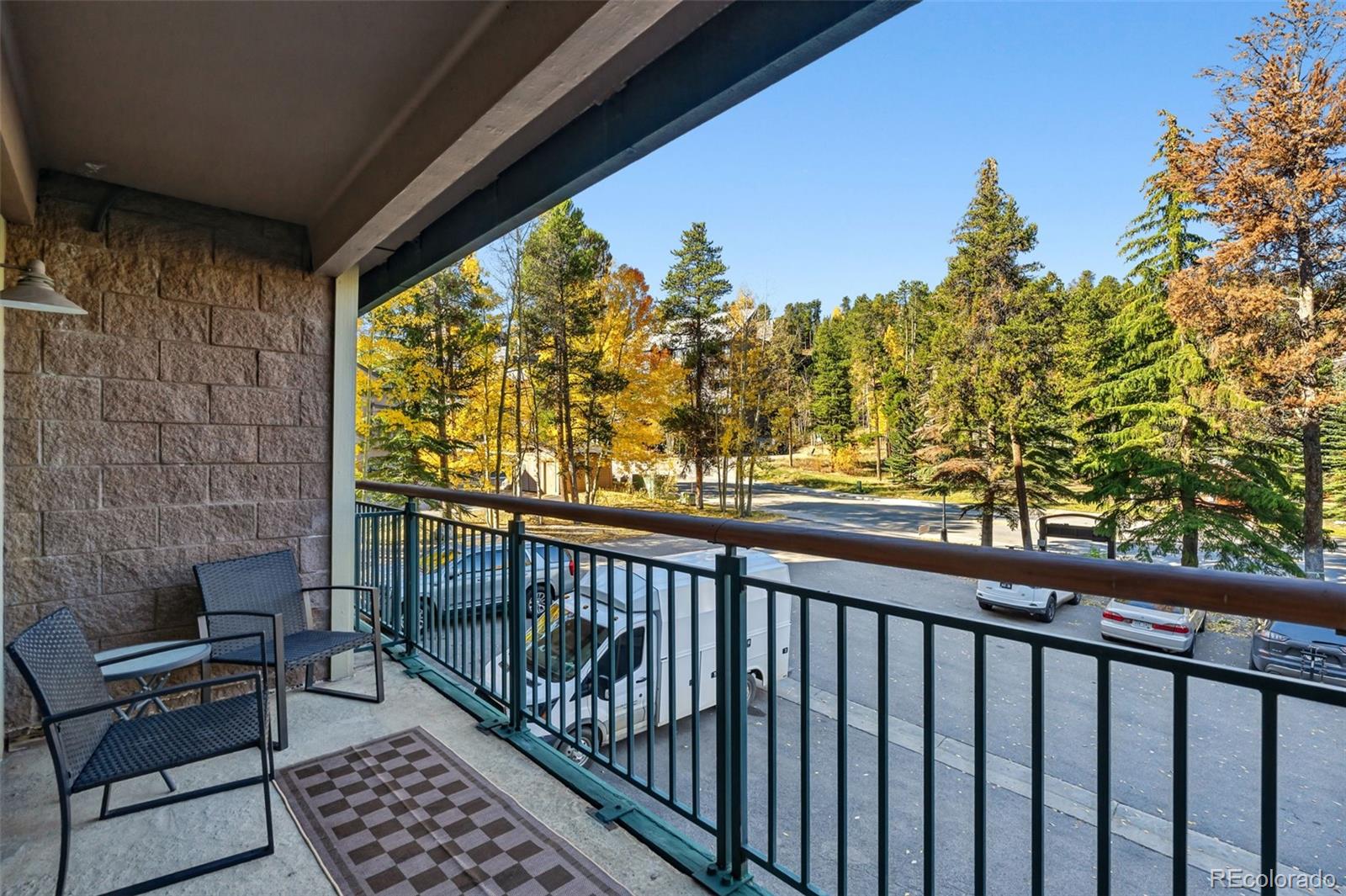 MLS Image #18 for 455  village road,breckenridge, Colorado