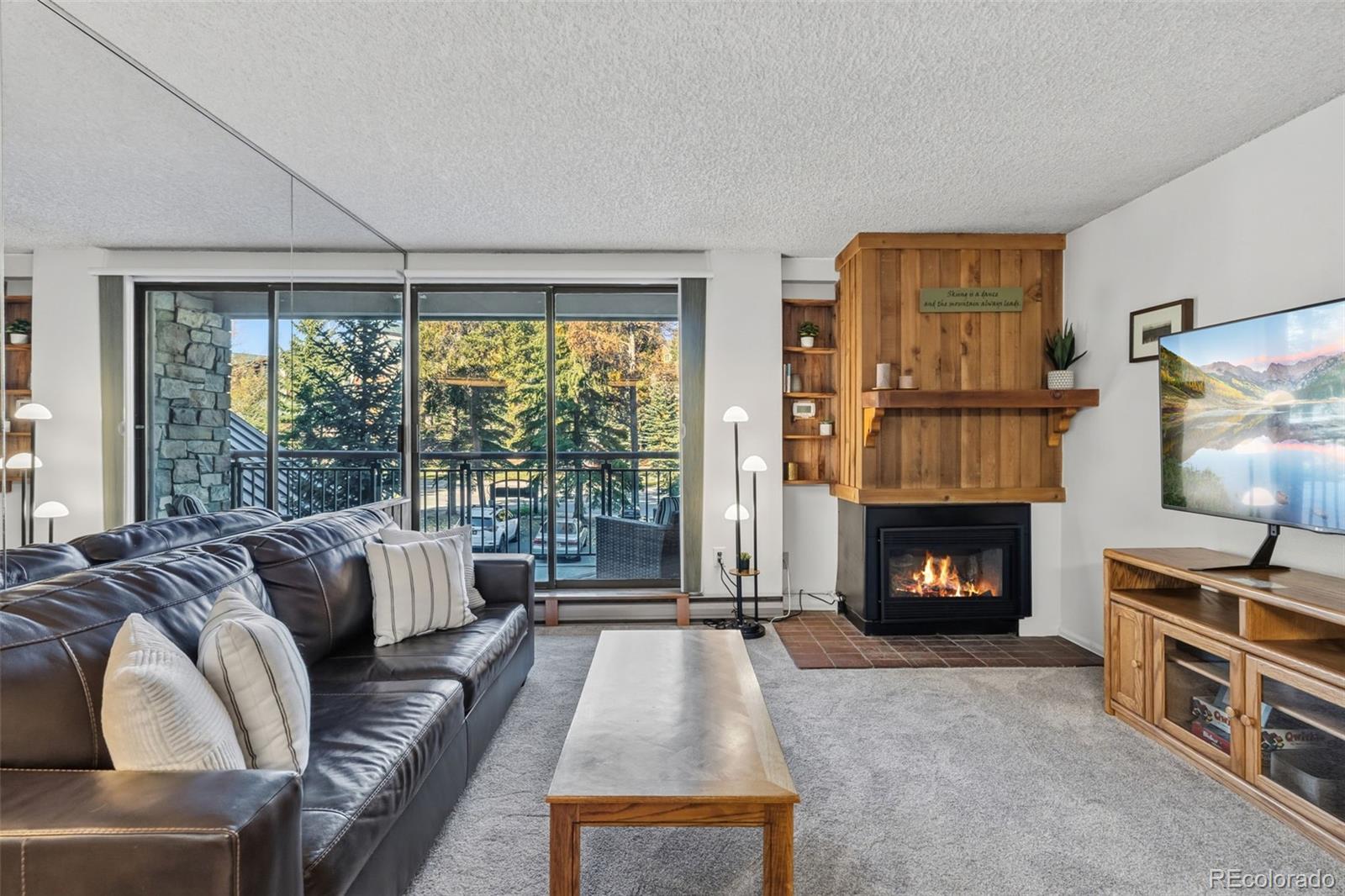 MLS Image #8 for 455  village road,breckenridge, Colorado