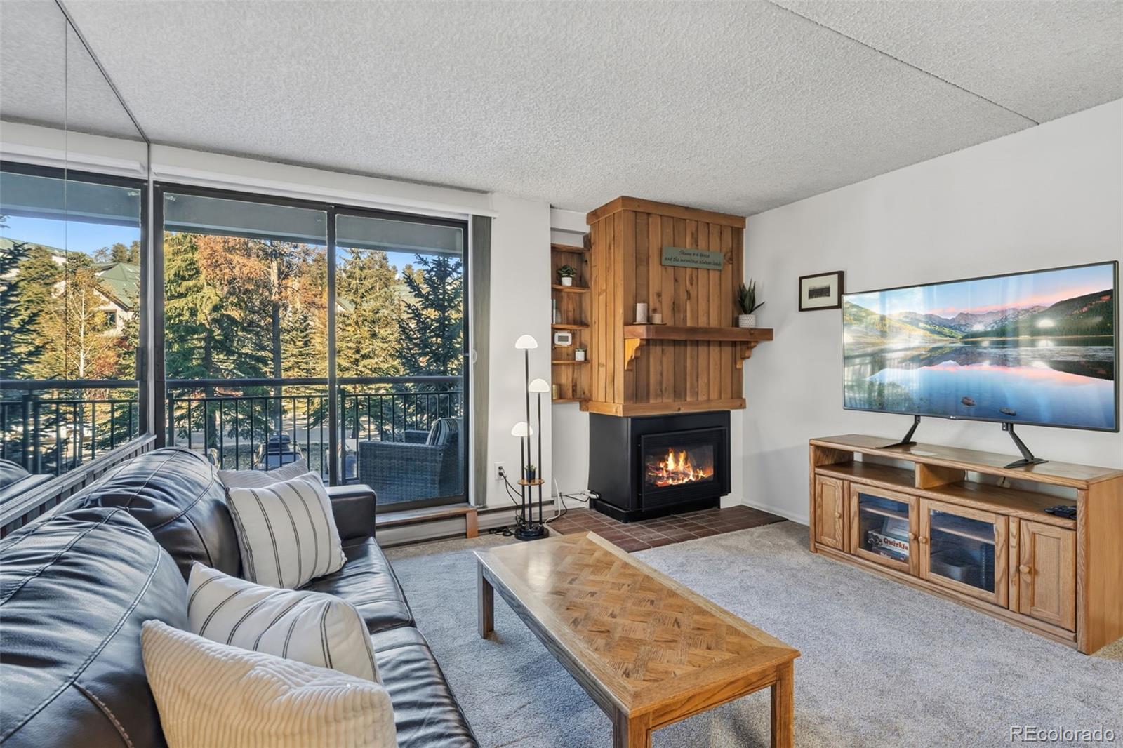 MLS Image #9 for 455  village road,breckenridge, Colorado