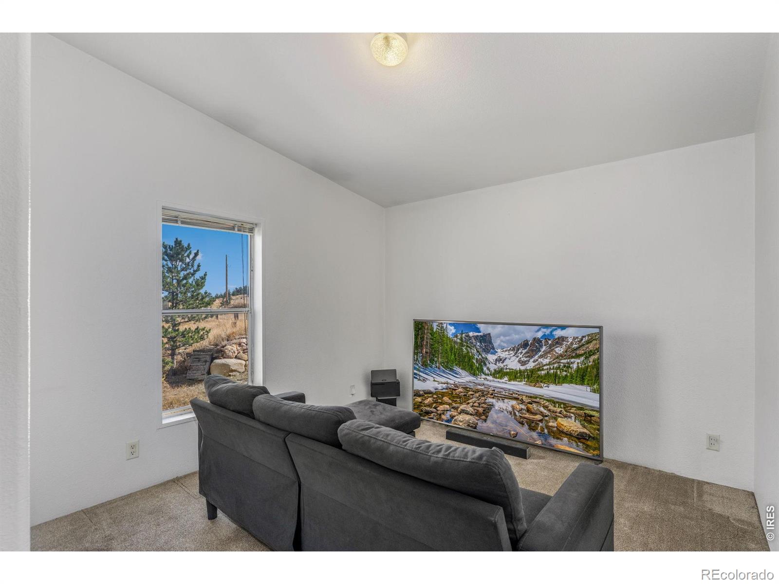 MLS Image #22 for 587  snow top drive,drake, Colorado