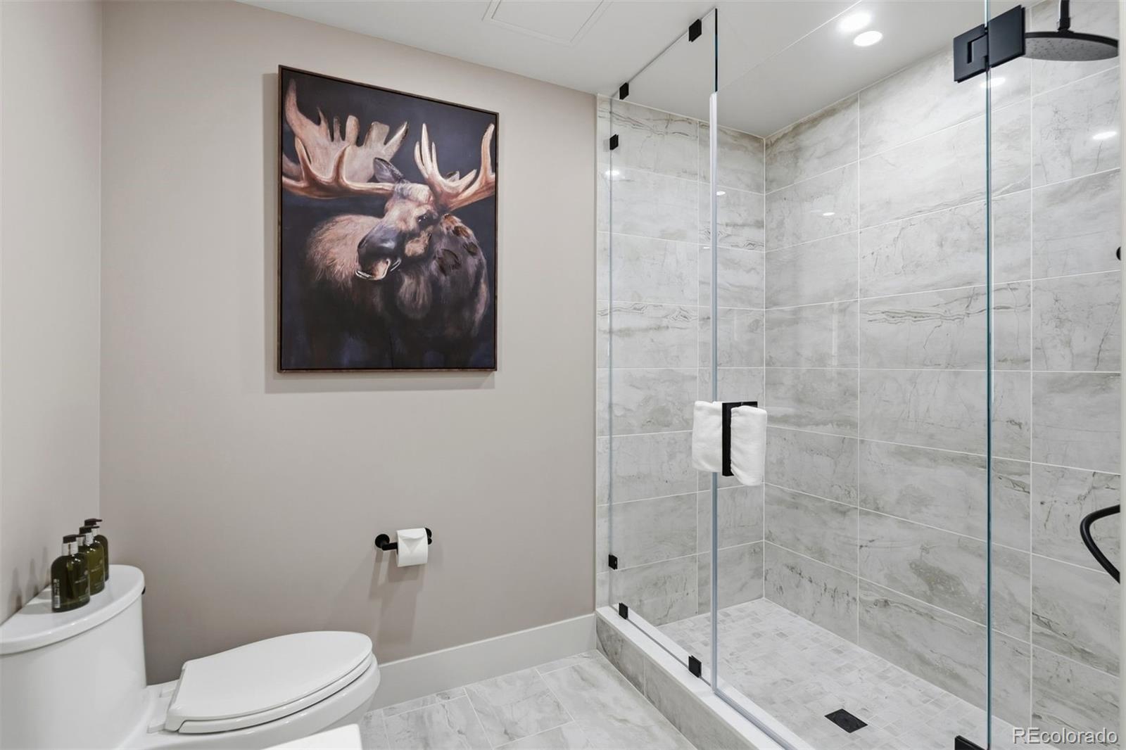 MLS Image #10 for 75  hunkidori court,keystone, Colorado