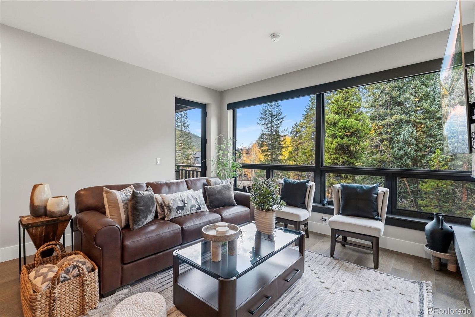 MLS Image #2 for 75  hunkidori court,keystone, Colorado