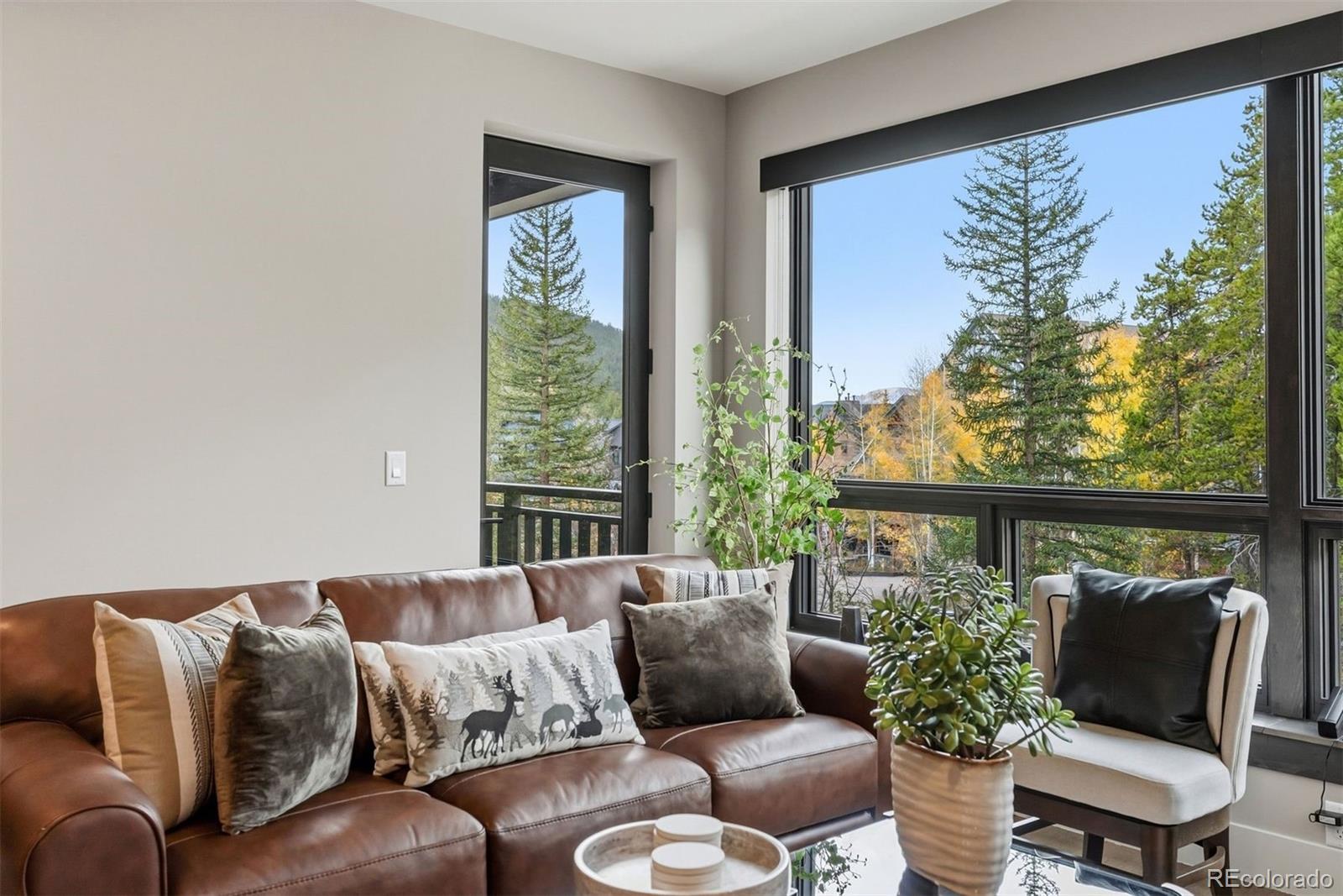 MLS Image #4 for 75  hunkidori court,keystone, Colorado