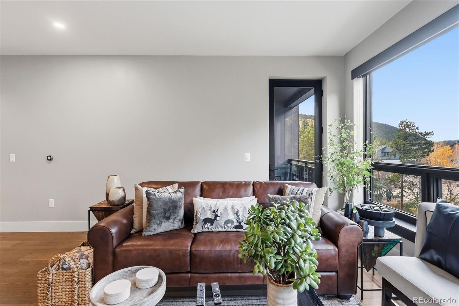MLS Image #6 for 75  hunkidori court,keystone, Colorado