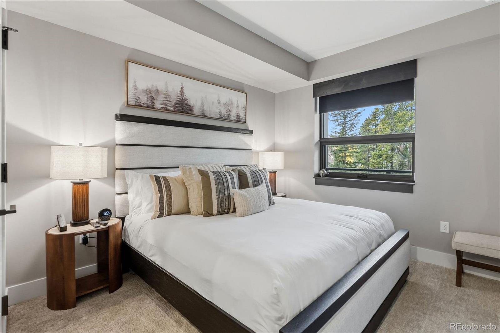 MLS Image #7 for 75  hunkidori court,keystone, Colorado