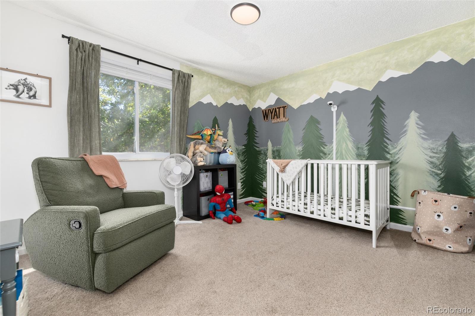 MLS Image #14 for 10947  ash way,thornton, Colorado