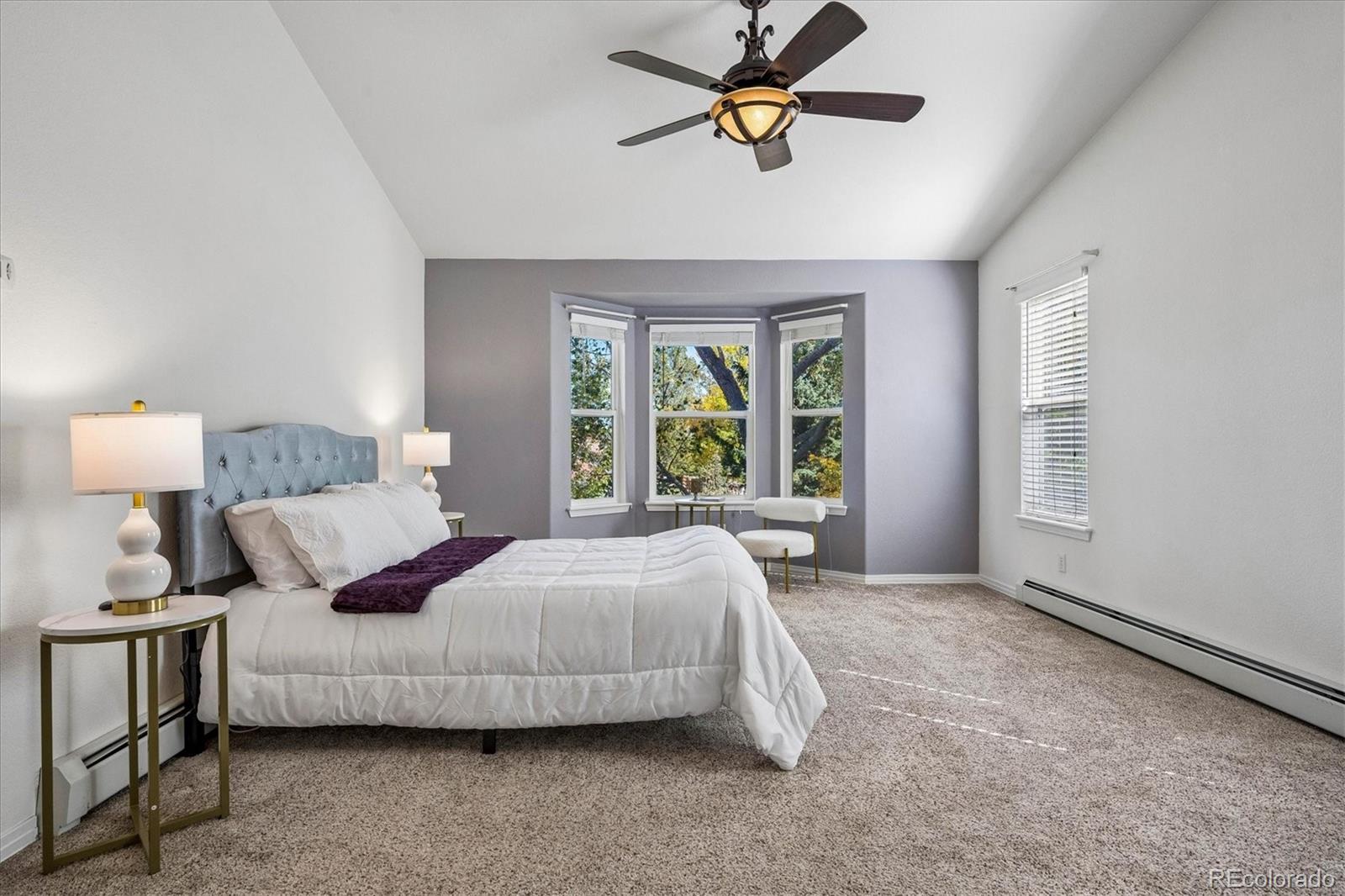 MLS Image #14 for 128  las lunas street,castle rock, Colorado