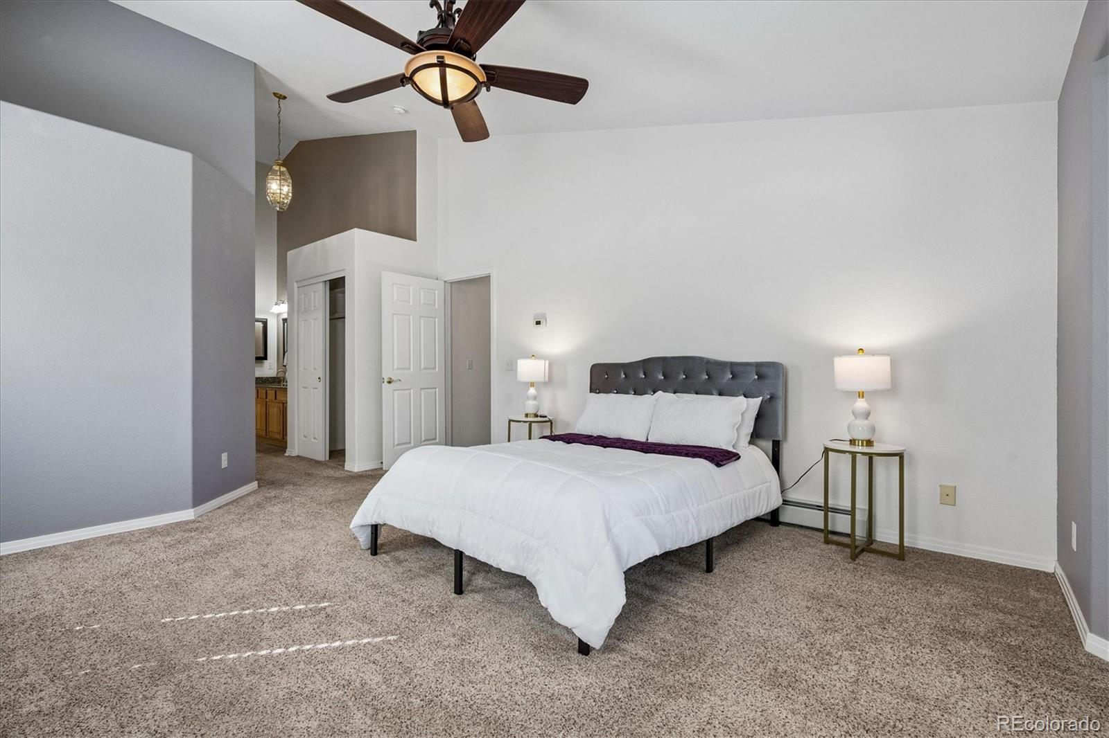 MLS Image #15 for 128  las lunas street,castle rock, Colorado
