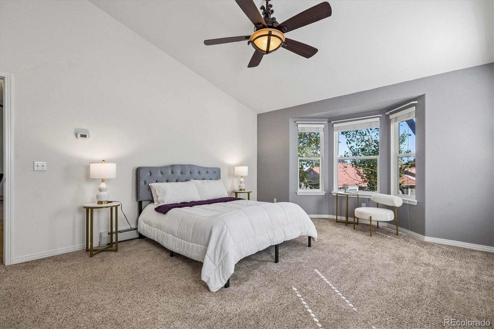 MLS Image #16 for 128  las lunas street,castle rock, Colorado