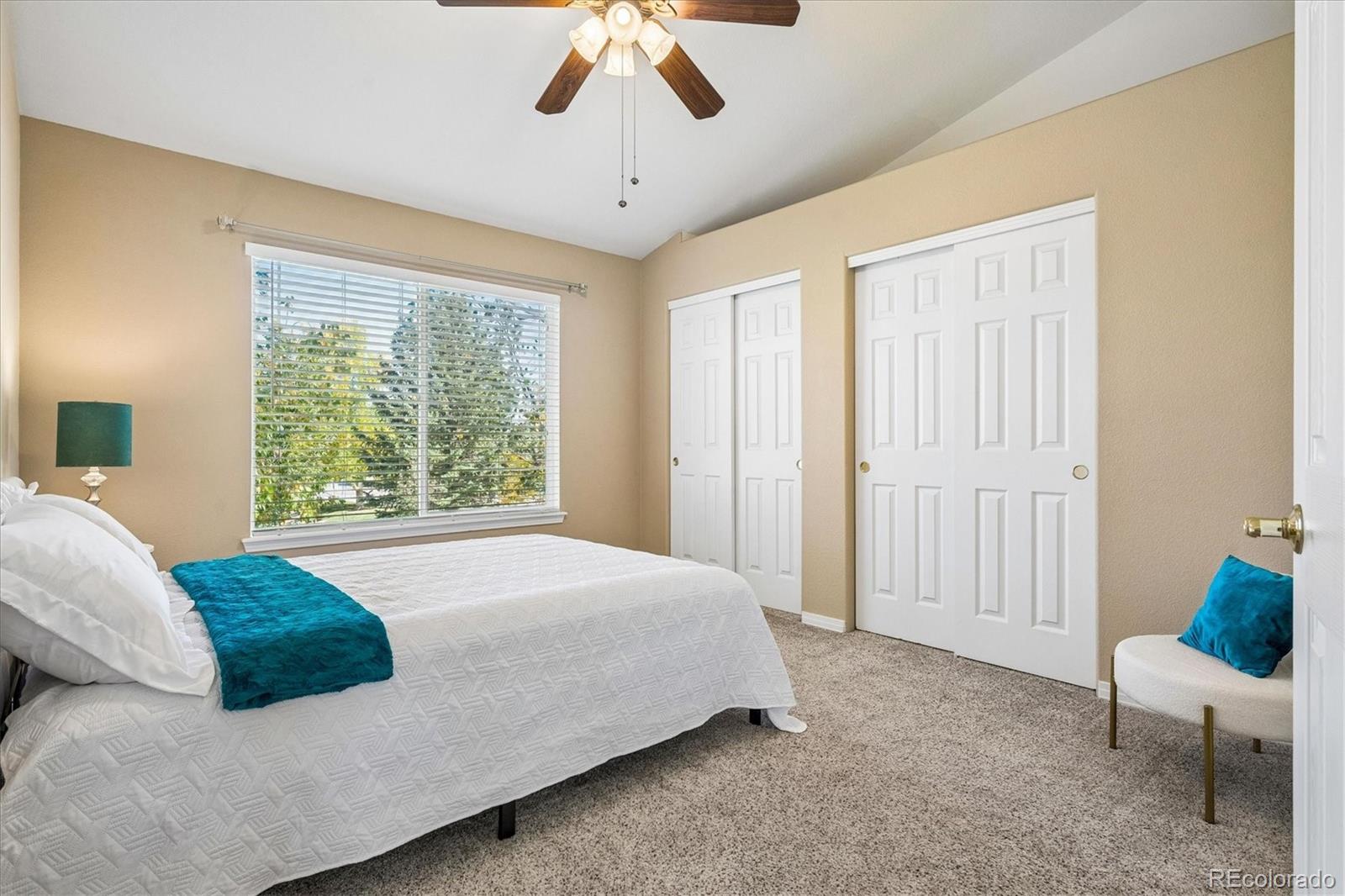 MLS Image #20 for 128  las lunas street,castle rock, Colorado