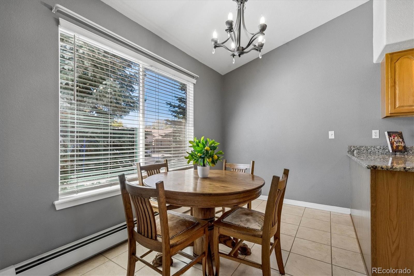 MLS Image #6 for 128  las lunas street,castle rock, Colorado