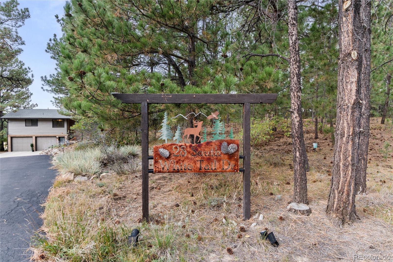 MLS Image #0 for 28 s white tail drive,franktown, Colorado