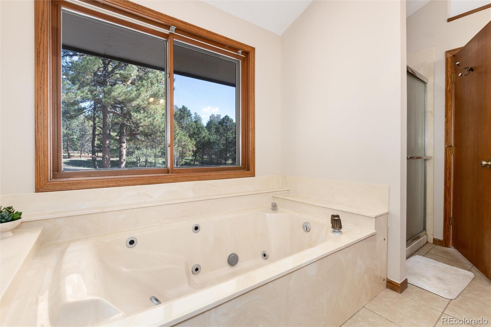 MLS Image #29 for 28 s white tail drive,franktown, Colorado