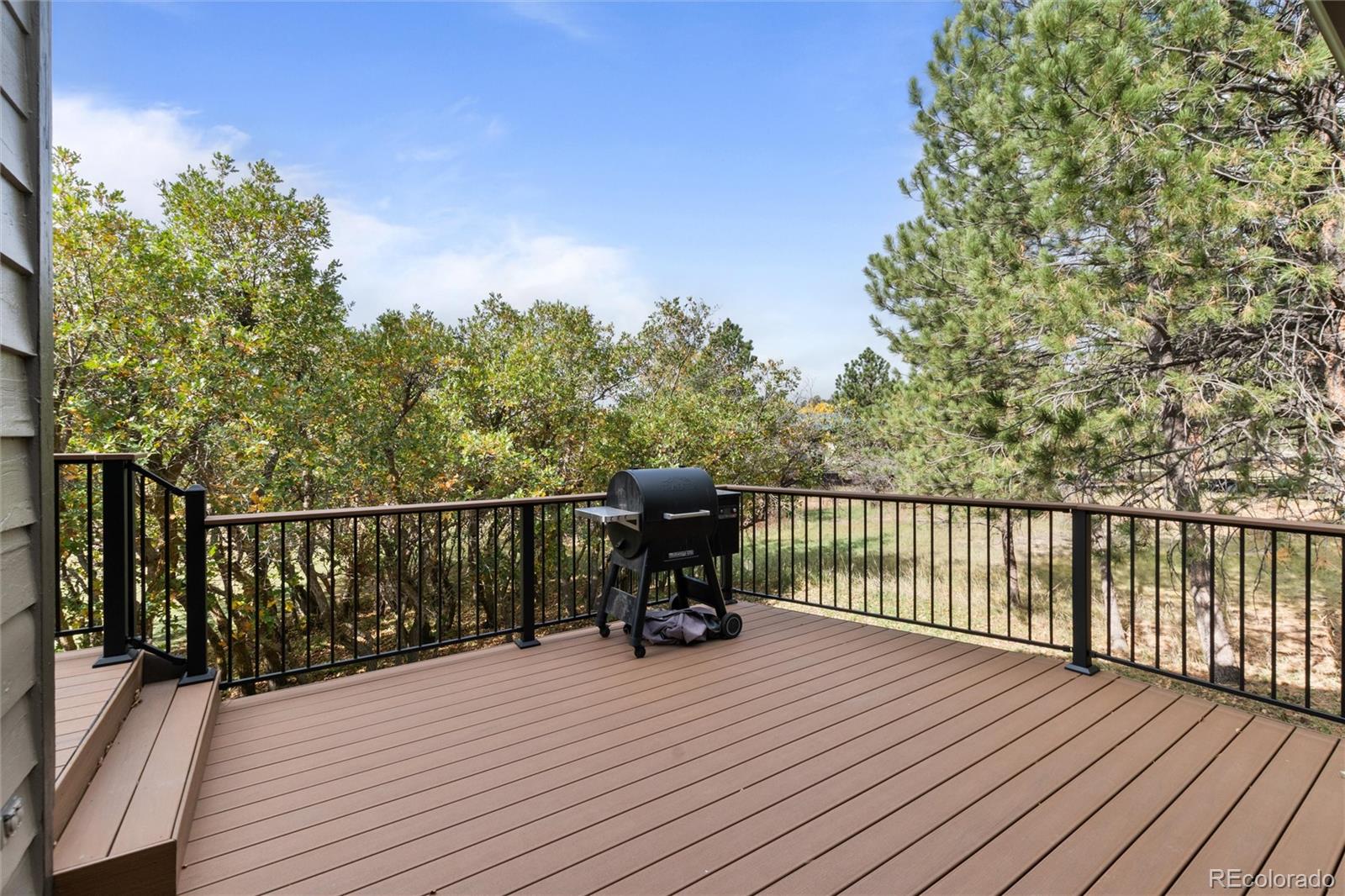 MLS Image #40 for 28 s white tail drive,franktown, Colorado