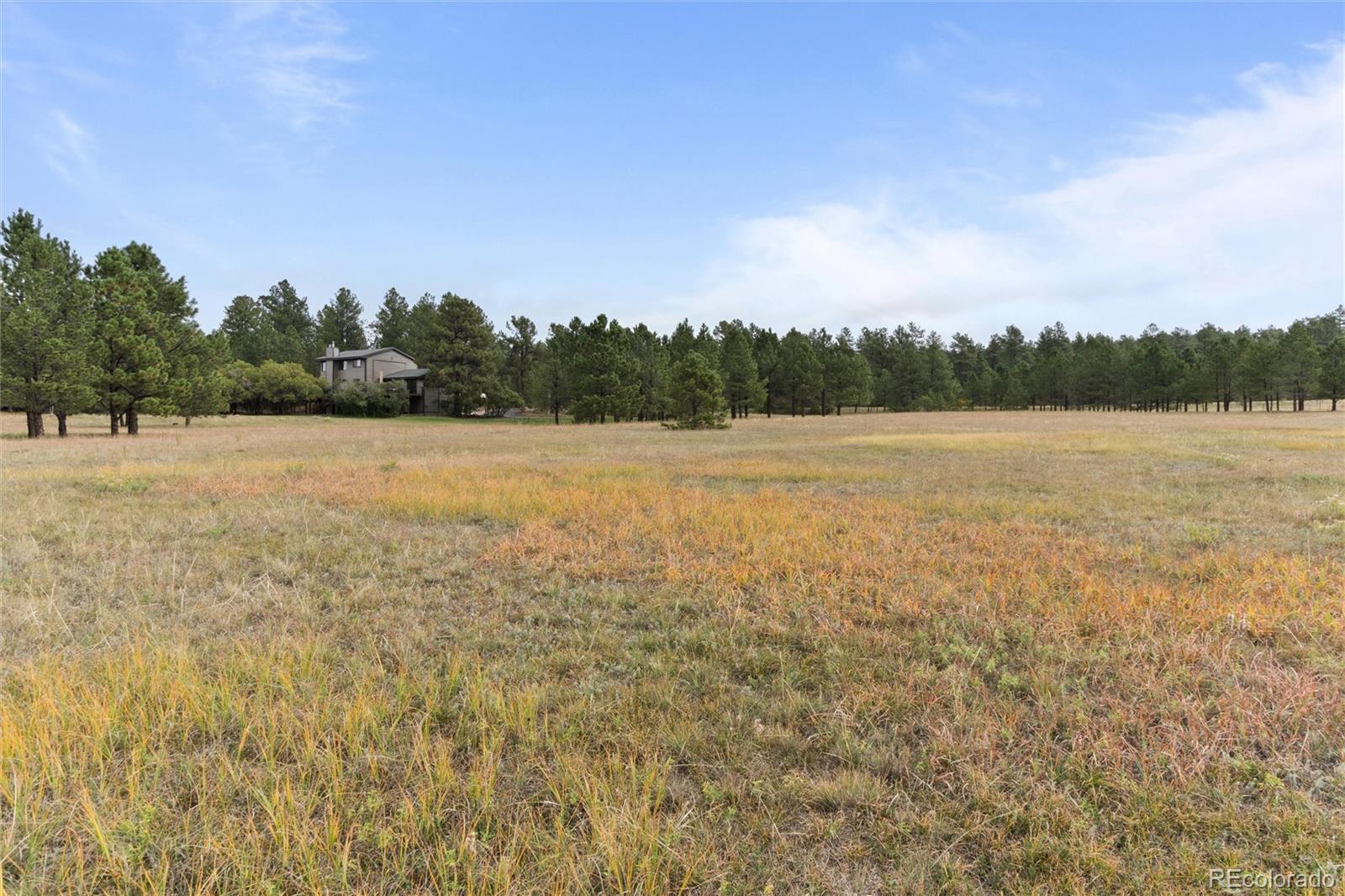MLS Image #43 for 28 s white tail drive,franktown, Colorado