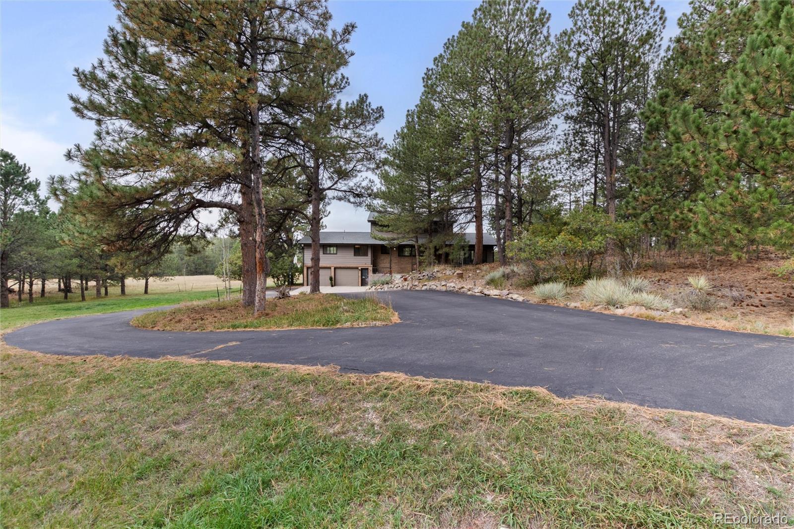 MLS Image #5 for 28 s white tail drive,franktown, Colorado