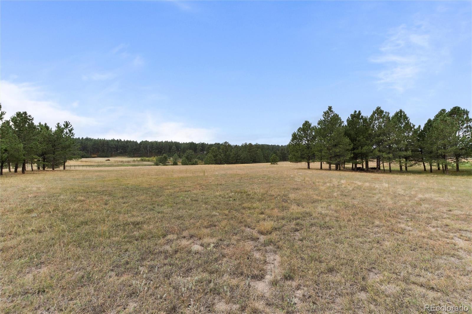 MLS Image #9 for 28 s white tail drive,franktown, Colorado
