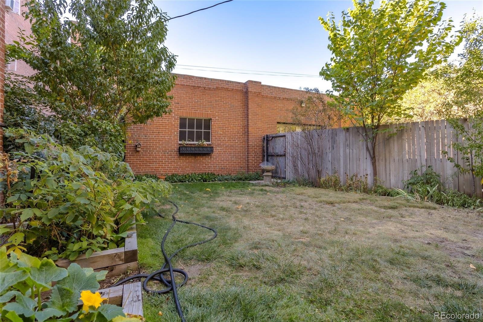 MLS Image #19 for 949 n emerson street,denver, Colorado