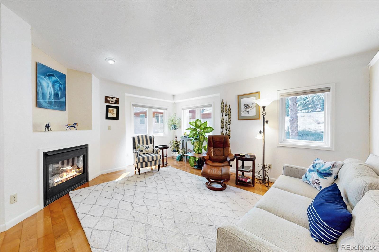 MLS Image #3 for 6473  willow broom trail,littleton, Colorado