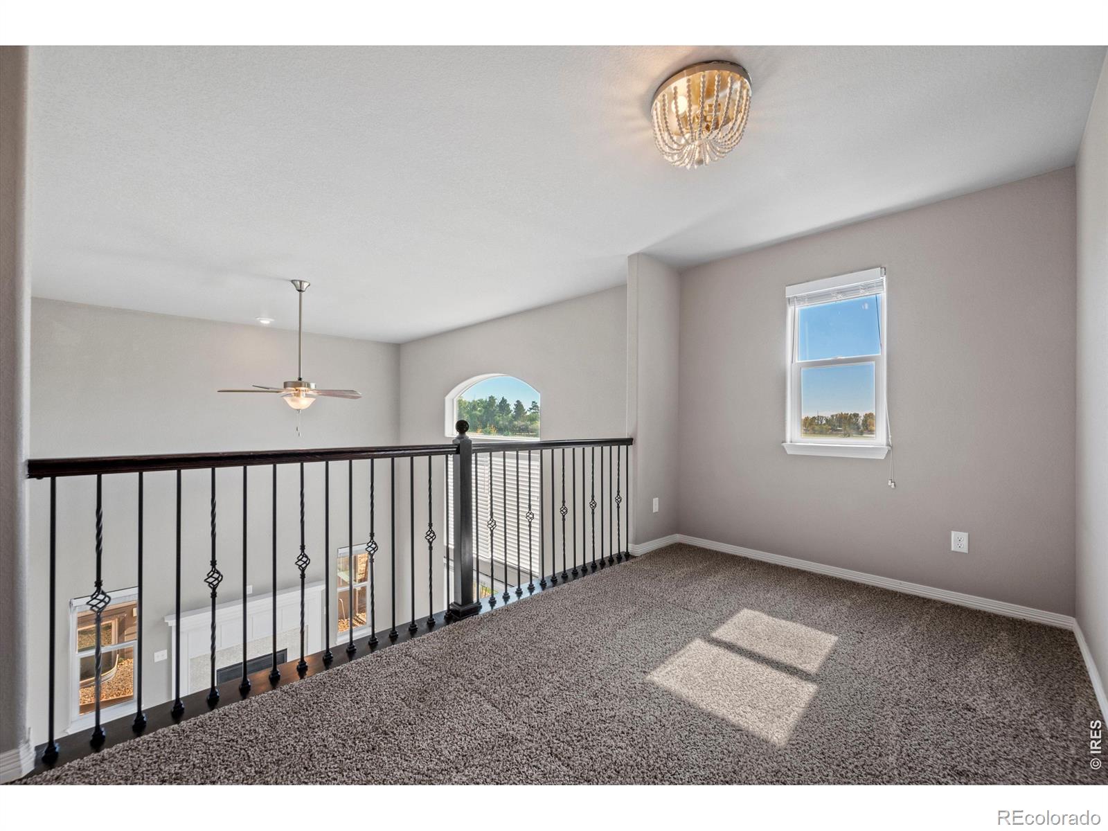 MLS Image #20 for 5623  bristow road,timnath, Colorado