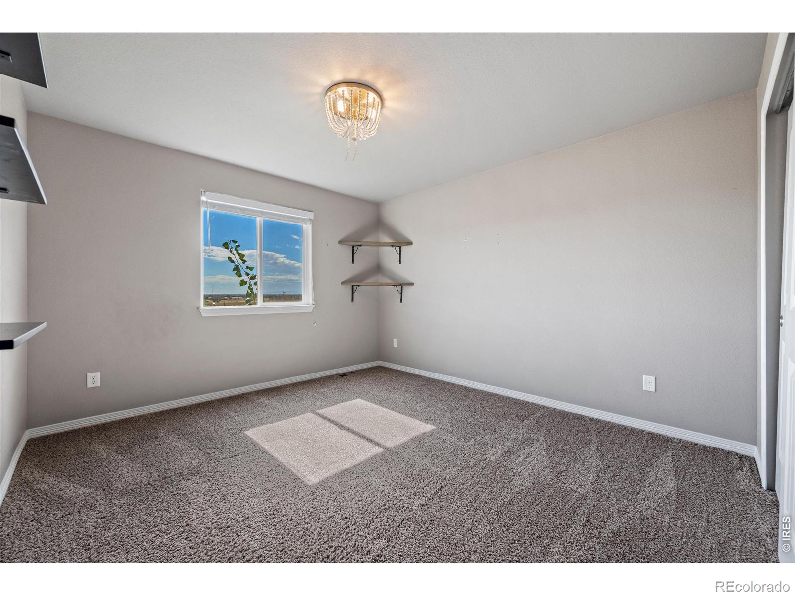 MLS Image #22 for 5623  bristow road,timnath, Colorado