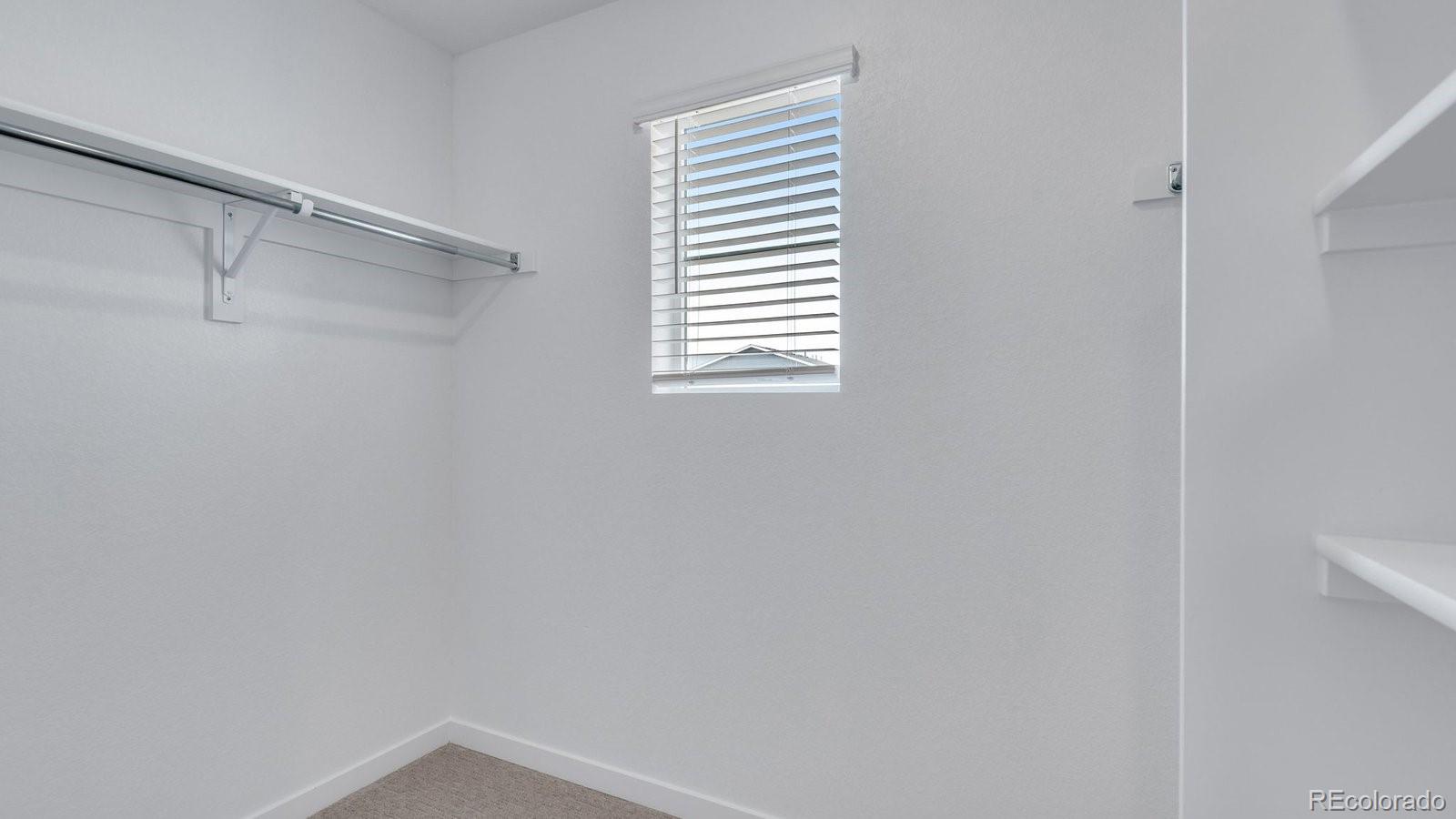 MLS Image #20 for 1913  sorghum way,johnstown, Colorado