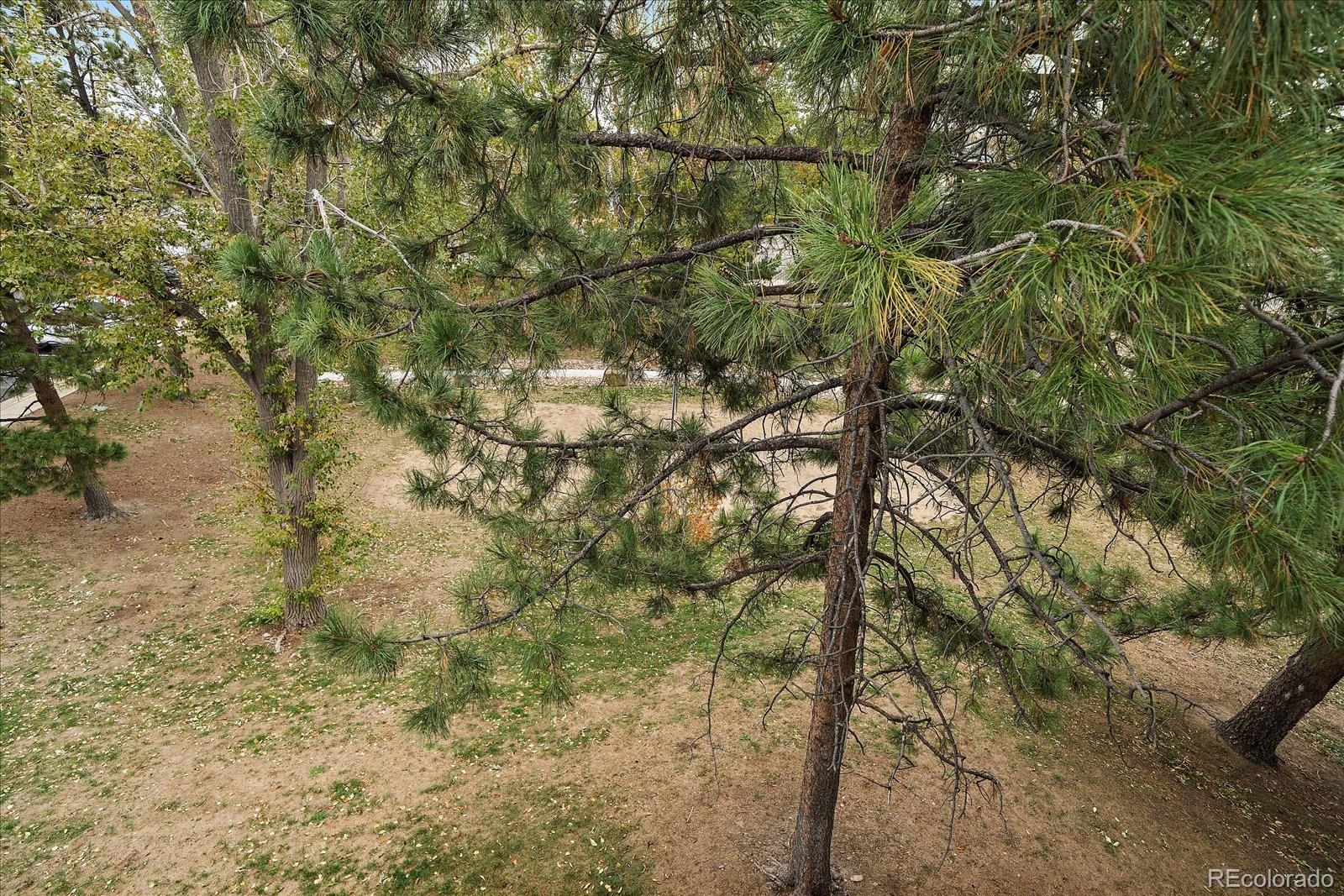 MLS Image #16 for 4899 s dudley street,denver, Colorado