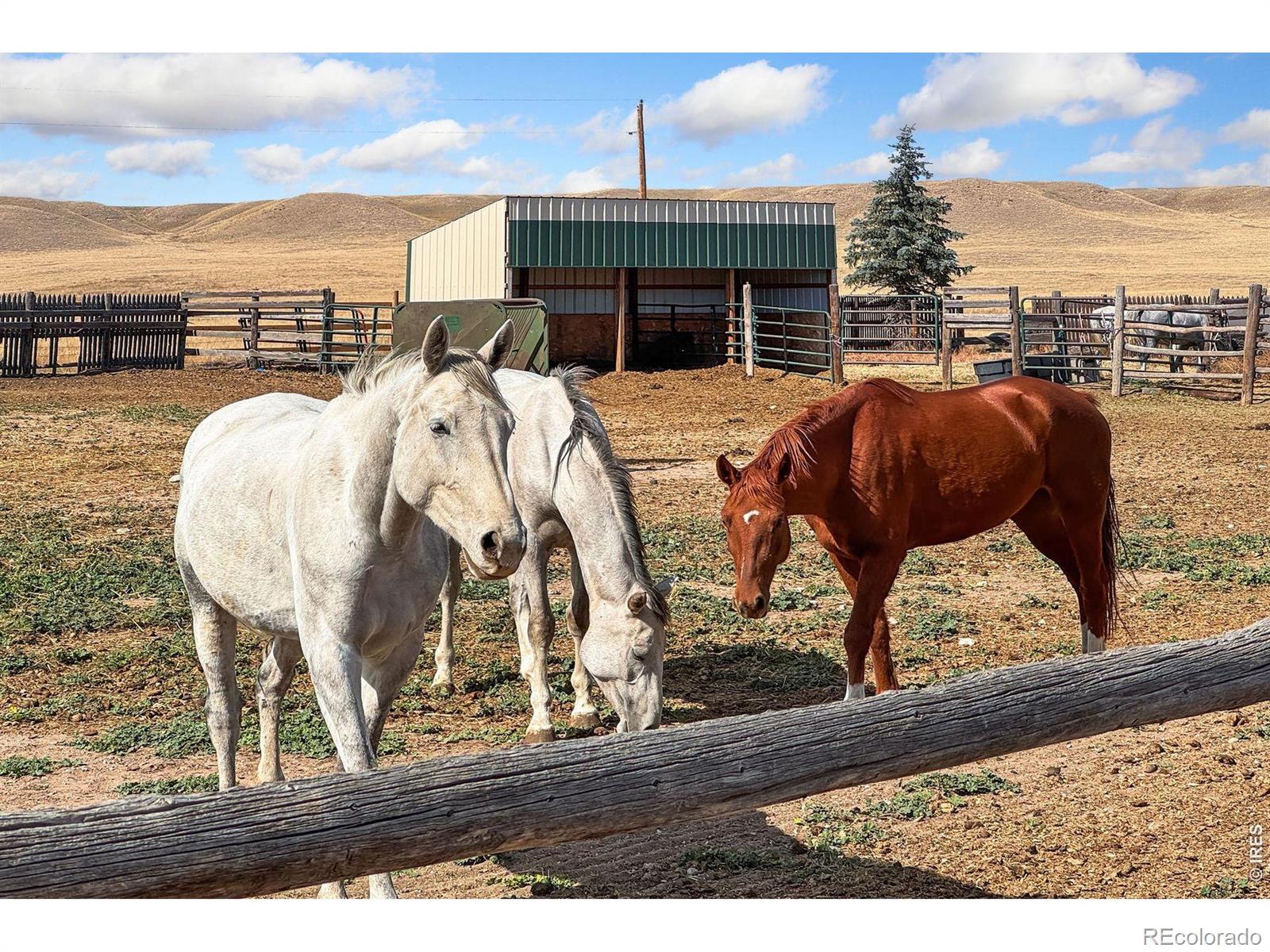 MLS Image #17 for 70521  county road 138 ,carr, Colorado